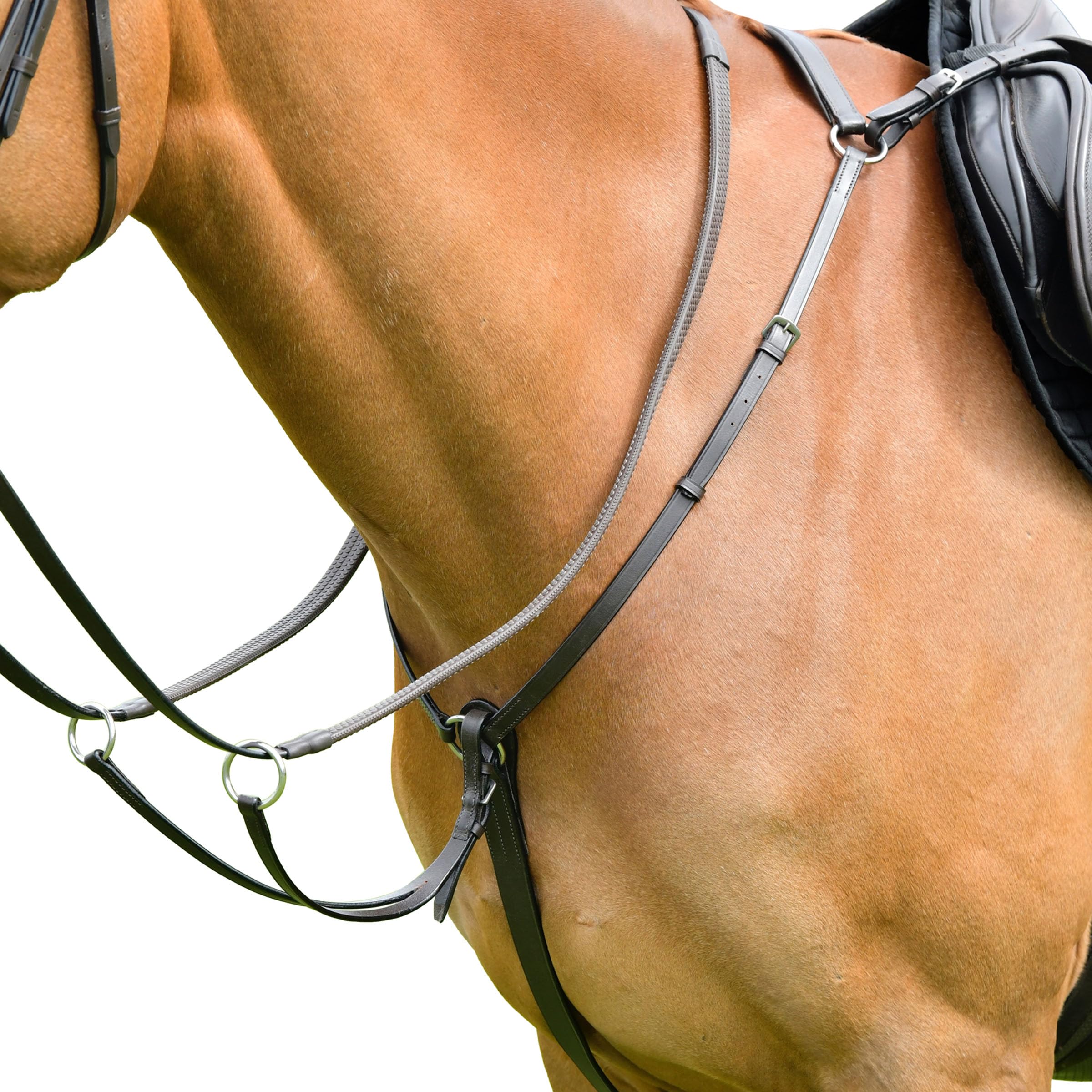 équipement équitation Neuf Marron Plat De Poitrine Élastique 3 Points Emporio Equipe - Martingale Laiton, Neuf Animal Empaille