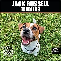 Vista 77 de MICASA PRESS Corgi Butts - Calendario de pared 2026 de 12 meses 12 x 24 pulgadas abierto Papel grueso y resistente Regalo de vacaciones