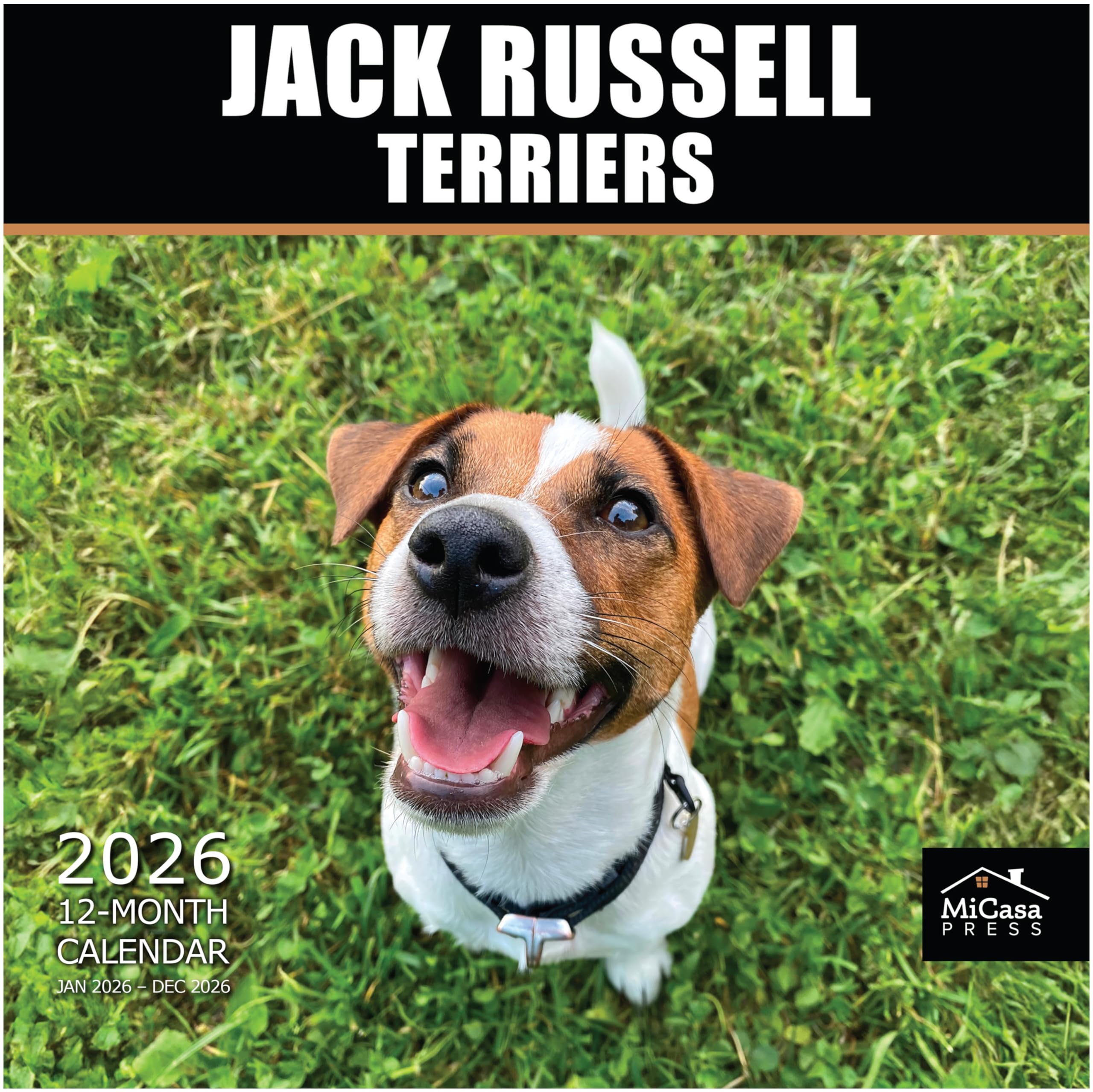 MICASA PRESS Jack Russell Terriers 2026 Wall Calendar 12 Month | 12" x 24" Open | Thick &amp; Sturdy Paper | Giftable | Cute Puppy Dog Calendar 2026