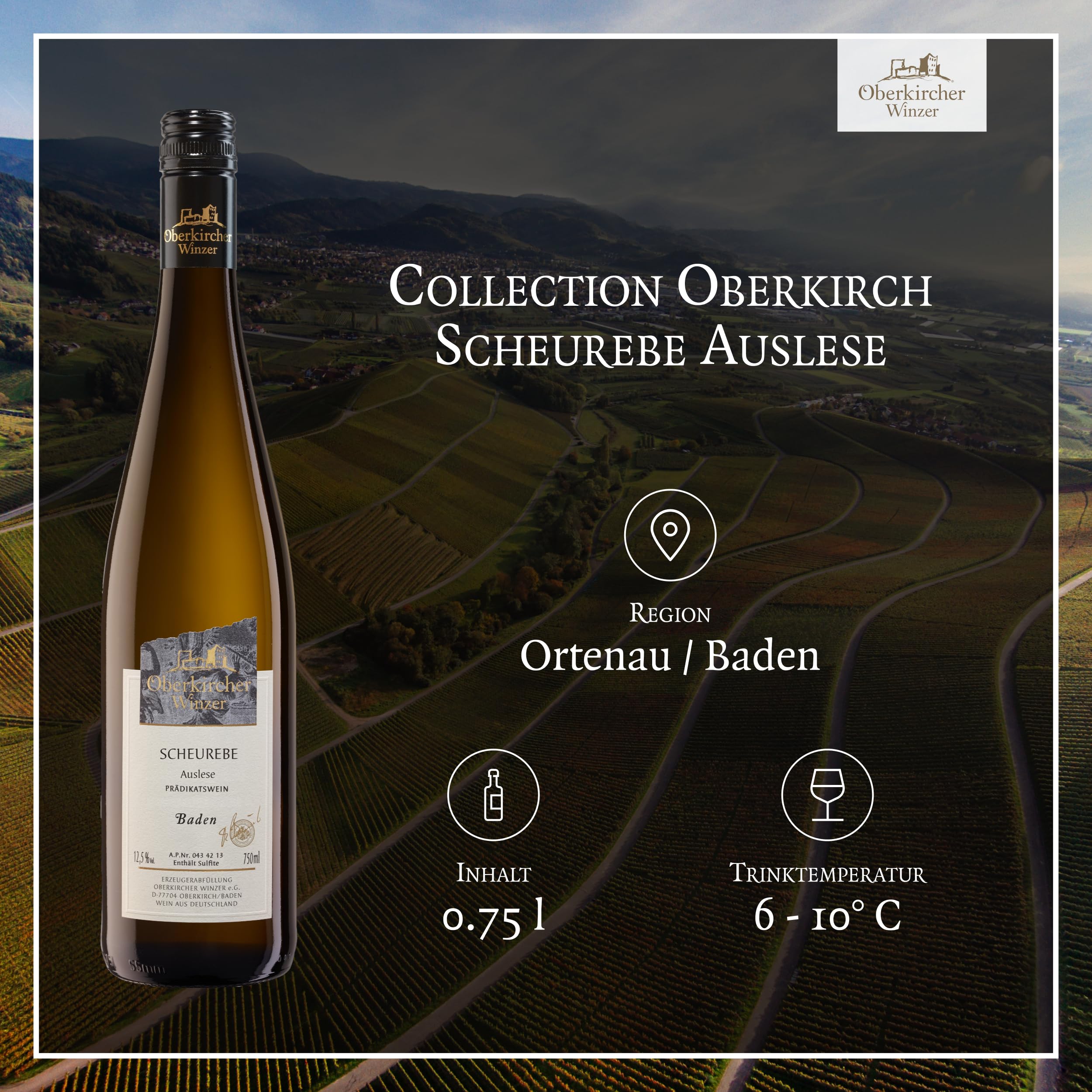 Oberkircher Winzer Scheurebe Auslese - 92,1 PUNKTE GOLD 2025 AWC Vienna - COLLECTION OBERKIRCH - erfrischende Säure mit viskoser Fruchtsüße, Badischer Wein, Anbaugebiet Ortenau (3 x 0,375l)