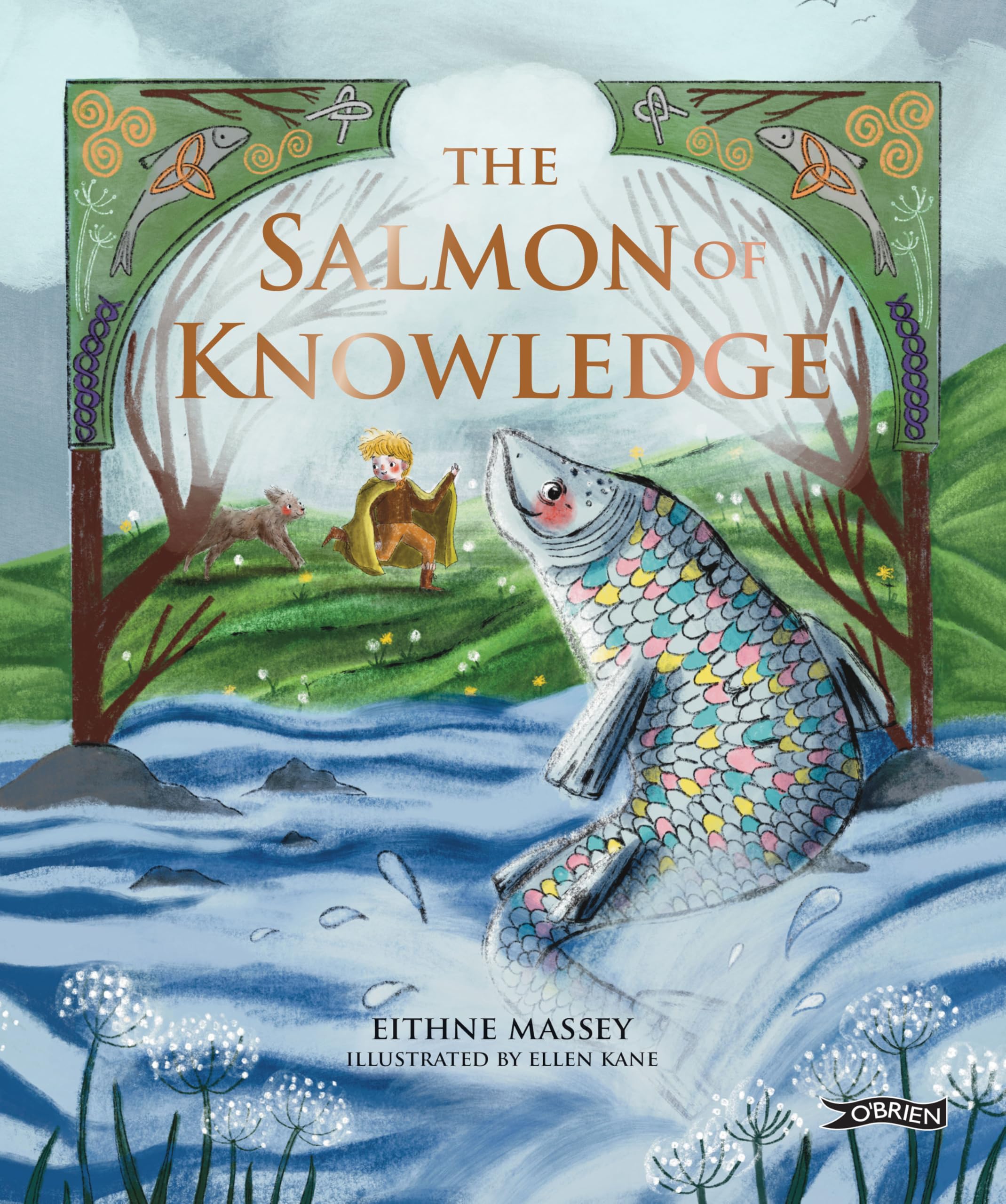 The Salmon of Knowledge by Eithne Massey (Hardback Book)