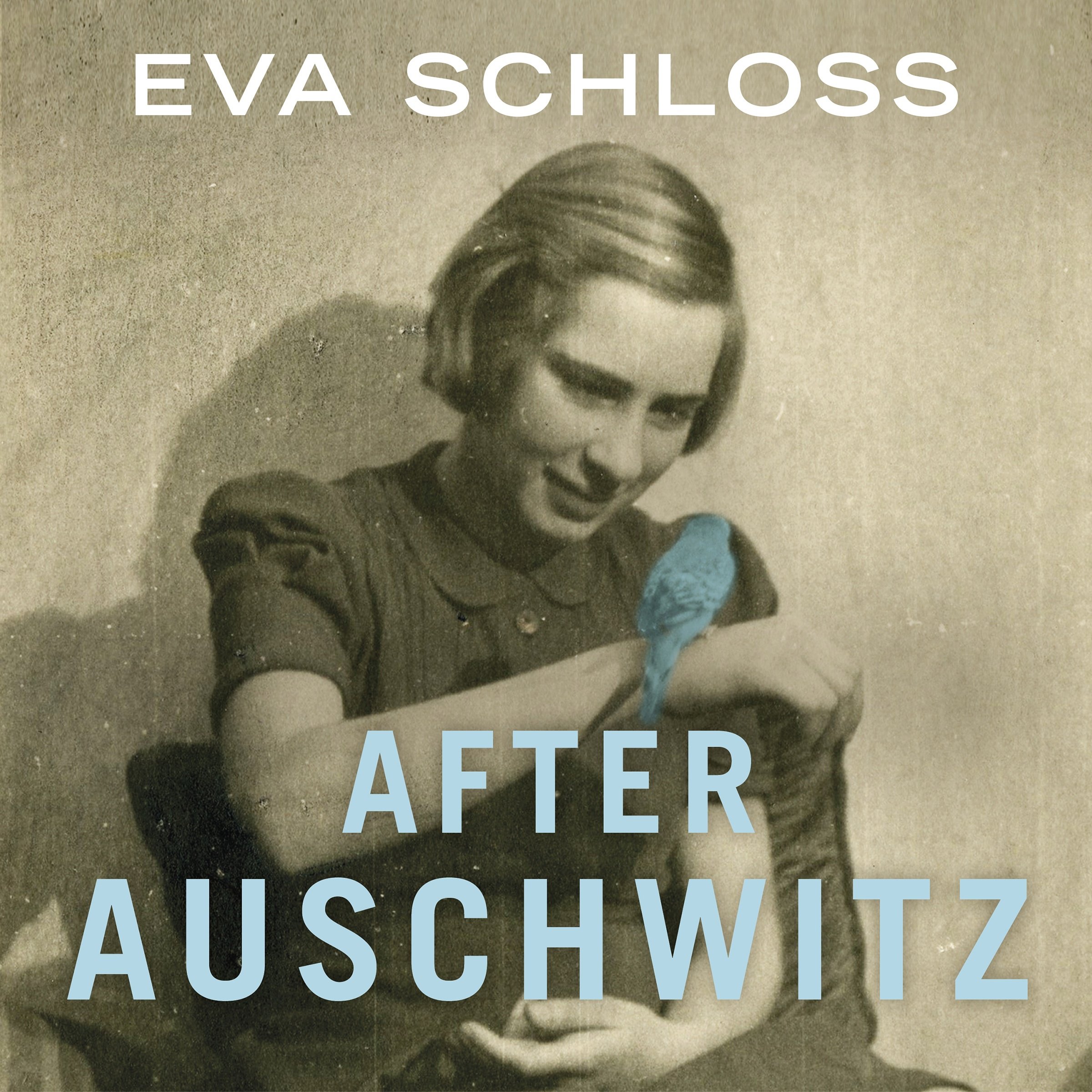 Cover art for After Auschwitz