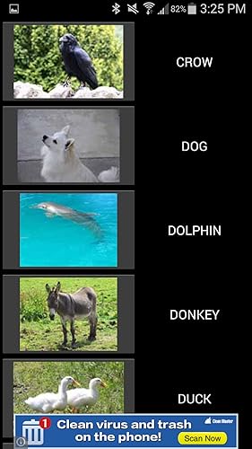 50 Animal Sounds
