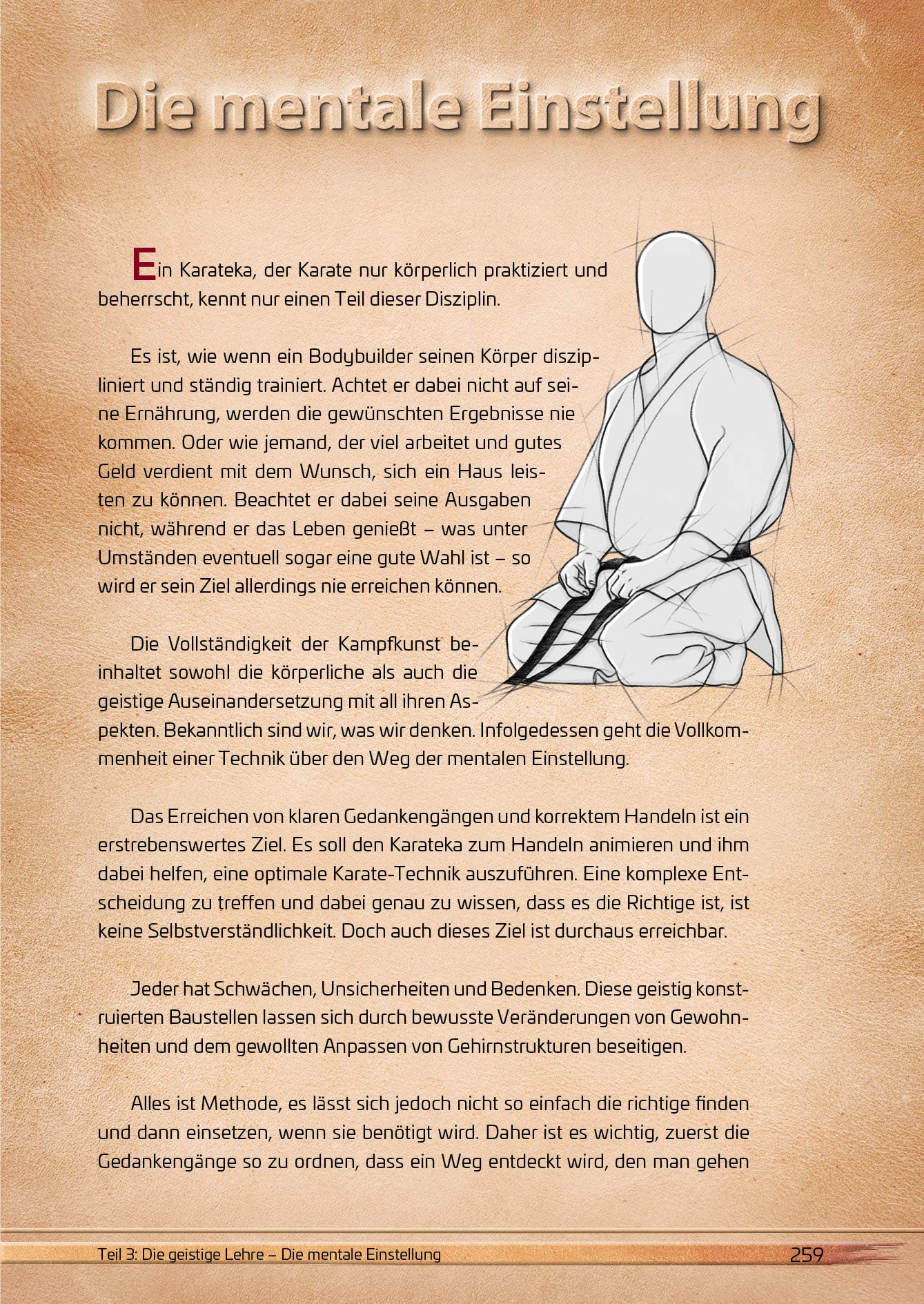 Die Karate-Essenz: Das Handbuch