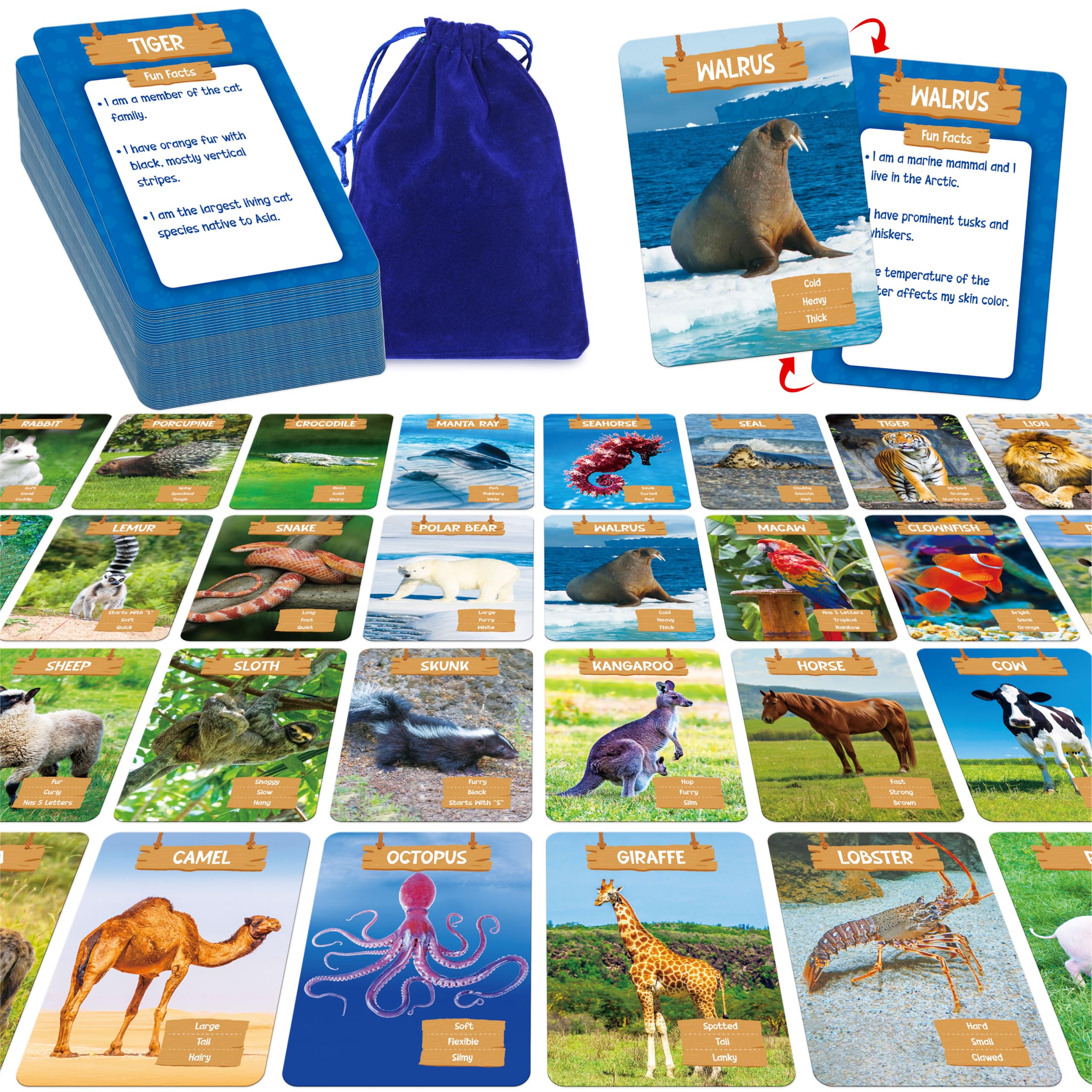 Amazon.com: SpriteGru Outdoor Scavenger Hunt Card Game, 50 PCS