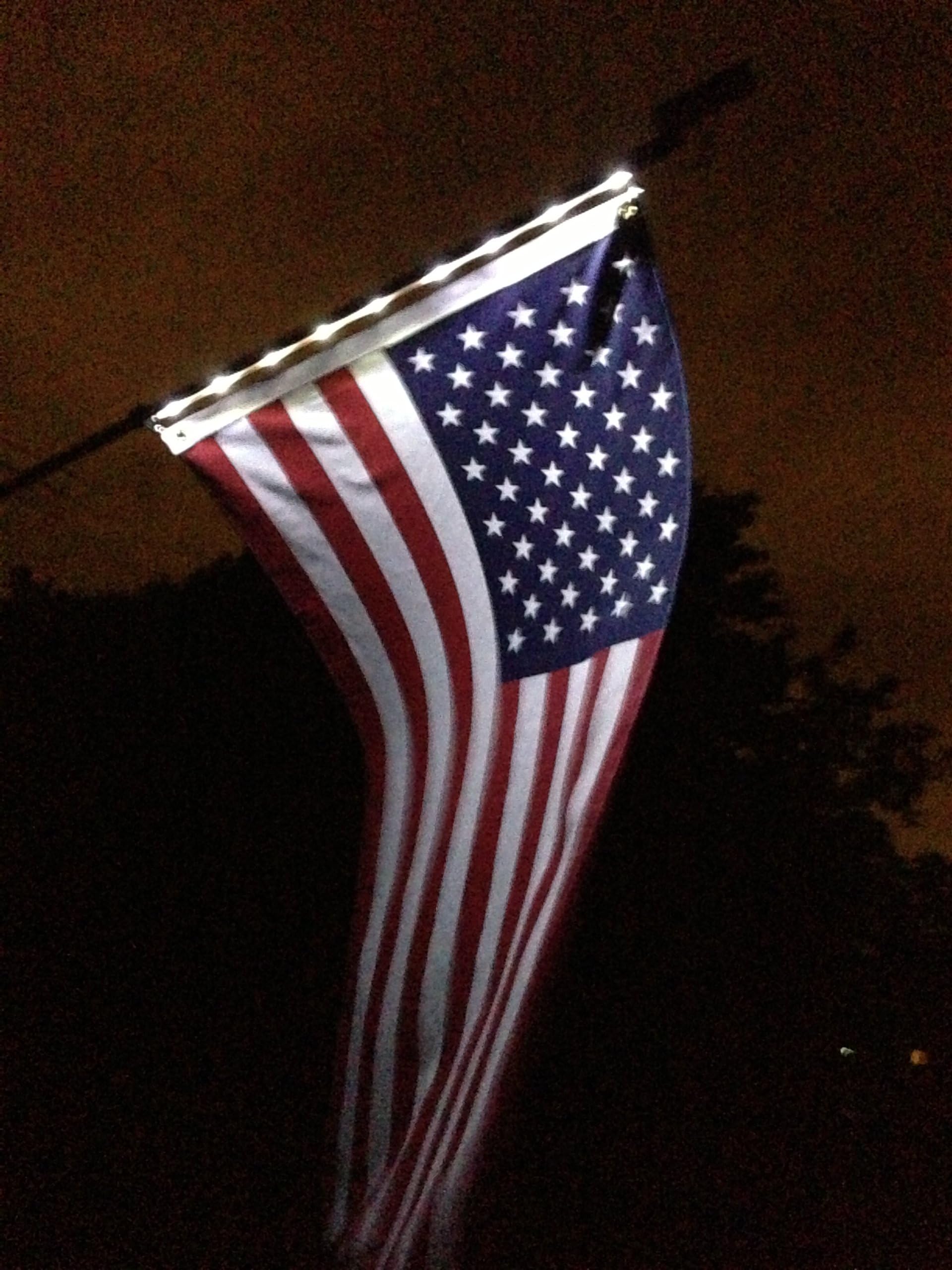 Homebrite Solar Night Flag Kit