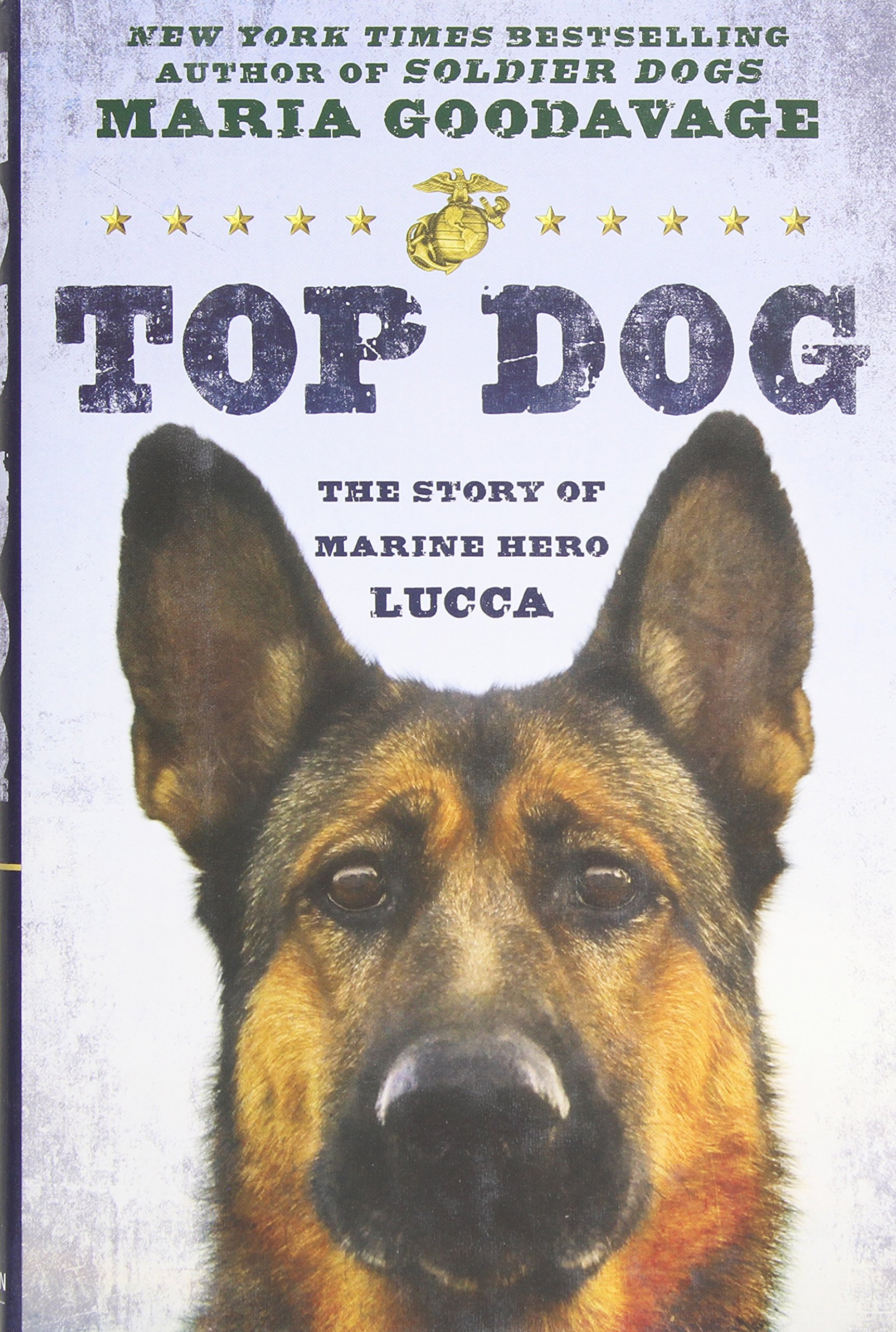 Top Dog: The Story of Marine Hero Lucca