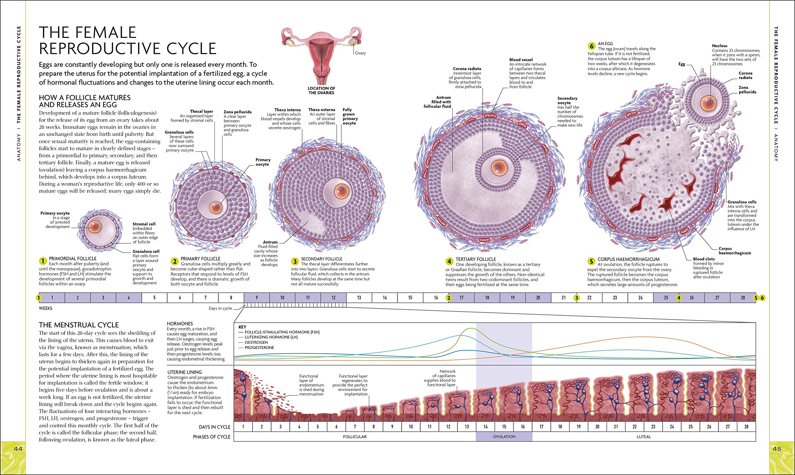 The Science of Pregnancy: The Complete Illustrated Guide from Conception to Birth