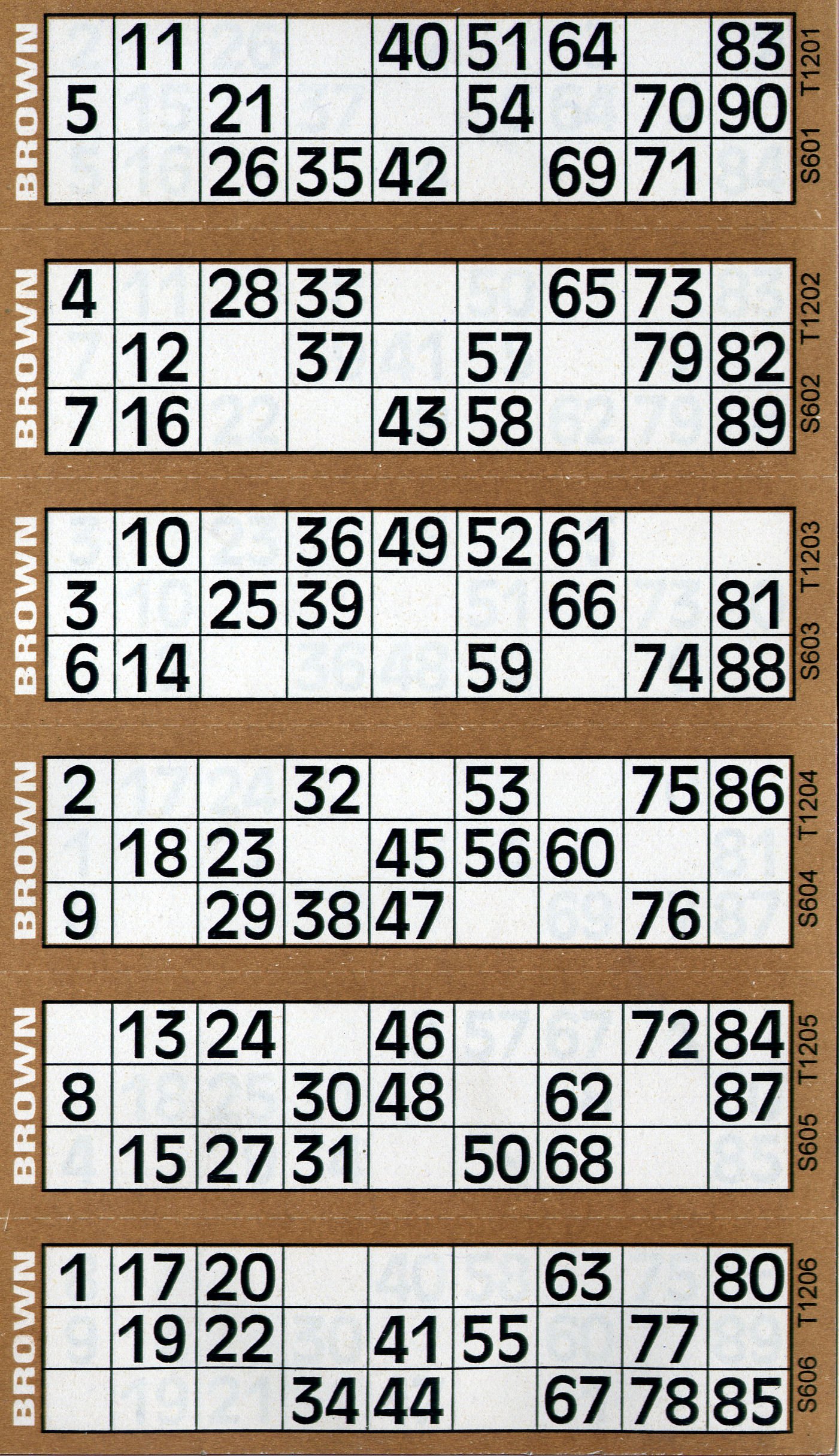 Thomas & Anca Club Supplies Ltd 12000 12 to View Bingo Flyers Bingo Tickets (Brown)