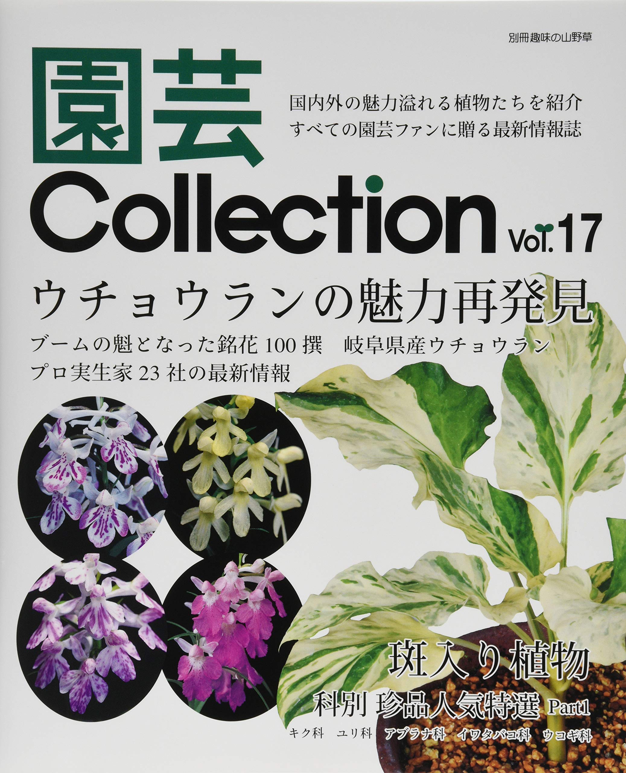 趣味の山野草 2017年01月号 趣味の山野草 2017年01月号 Amazon.co.jp: 園芸Collection(17):