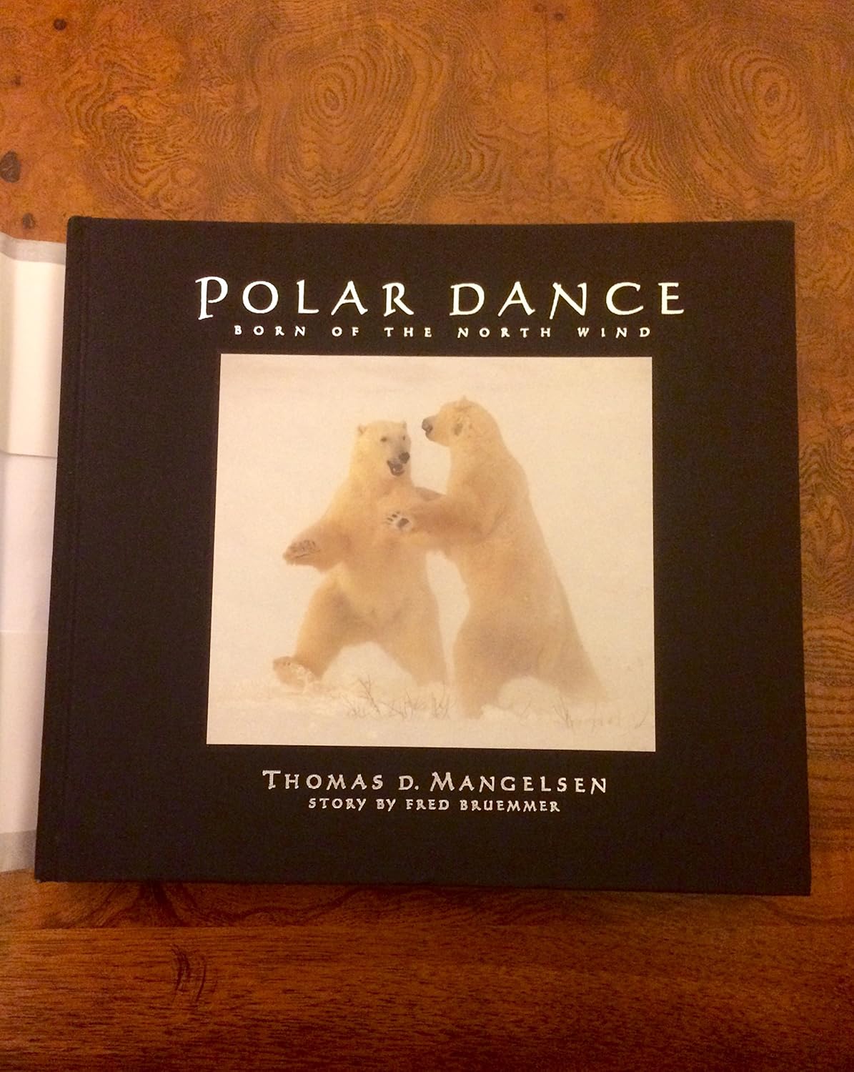 Polar Dance: Born of the North Wind