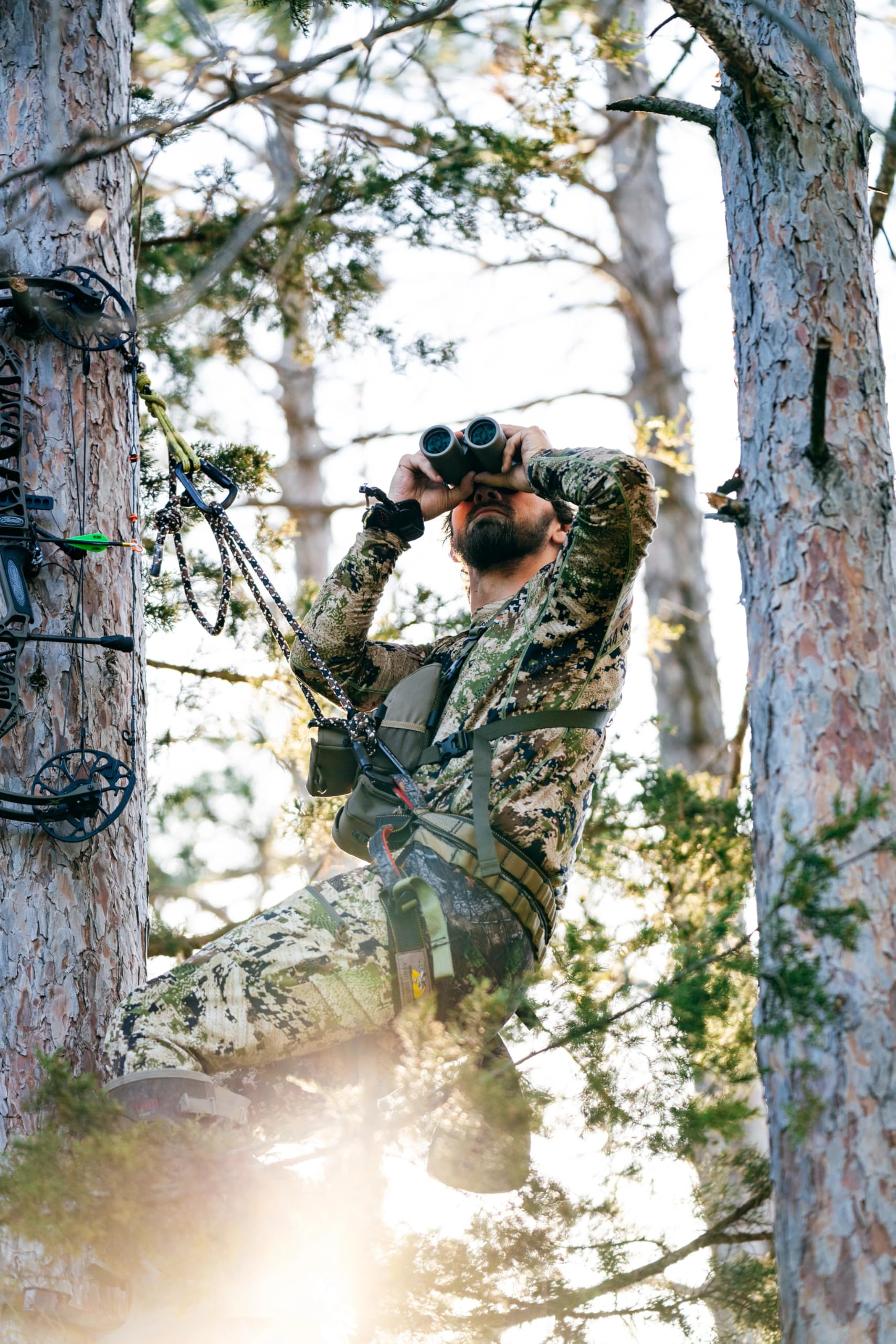 Bushnell R3 Binoculars with Vault Lite Bino Chest Harness, HD Optical System, Fully Multi-Coated Lenses, EXO Barrier, IPX7 Waterproof - Binoculars for Bird Watching and Wildlife Observation: 8x42 Binoculars