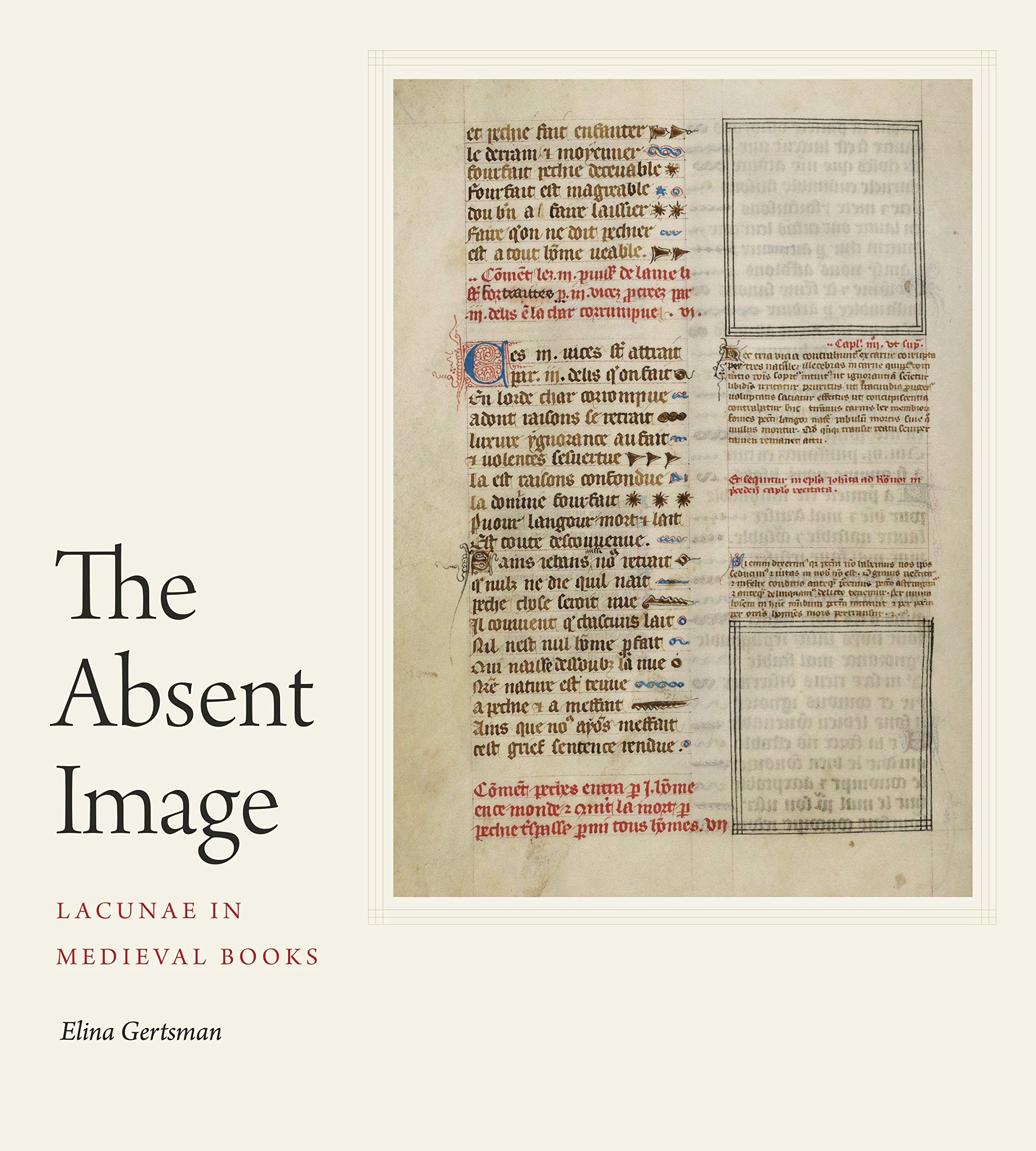 Lacunae in Medieval Books livre histoire art médiéval manuscrit enluminure