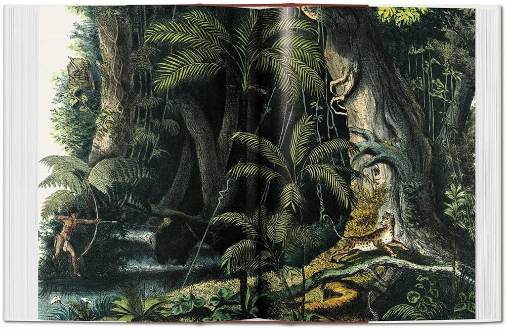 【入手困難！美品】THE BOOK OF PALMS Amazon | Martius. The Book of Palms (Bibliotheca Universalis