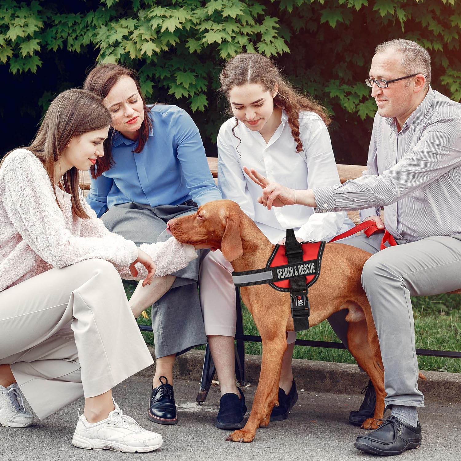 Dogline Unimax Multi-Purpose Vest Harness for Dogs and 2 Removable Search and Rescue Patches, Large, Red