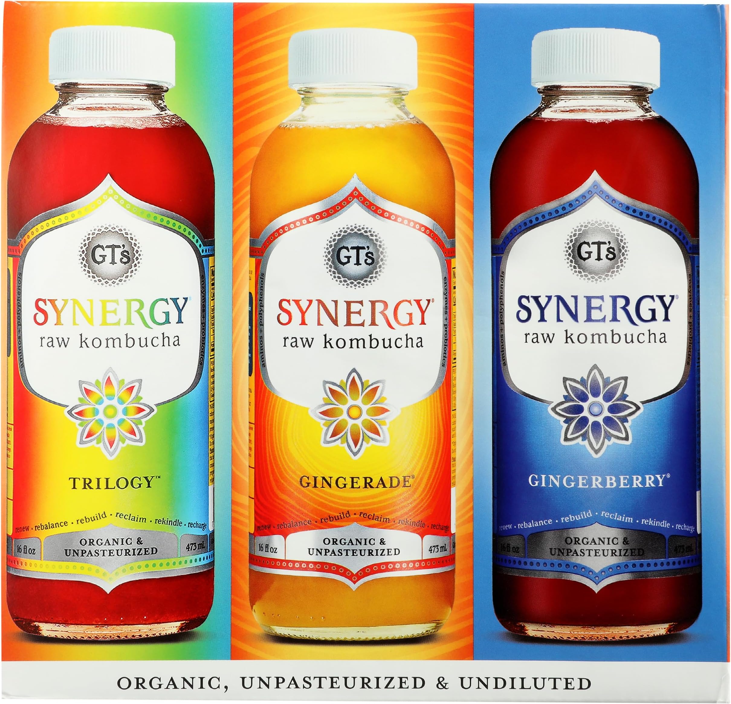 GTS LIVING FOODS Organic Synergy Kombucha Variety 6 Pack, 16 FZ