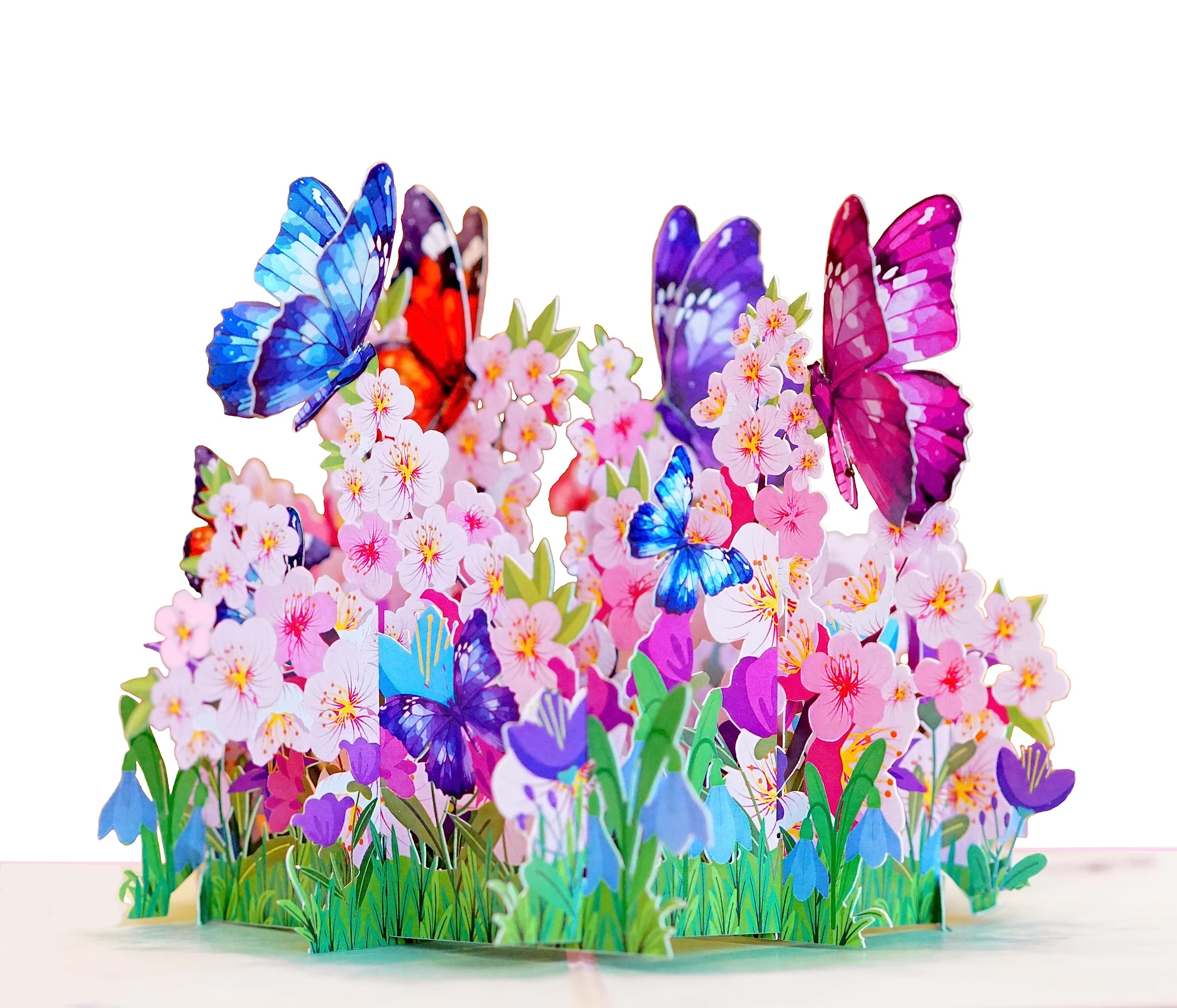 Birthday Card Pop Up | 3D Mothers Day Anniversary Thank You Valentines Day Cards For Women Mom Mum Grandma (Size 15x20 Cm - Wisteria Hummingbird - View #4