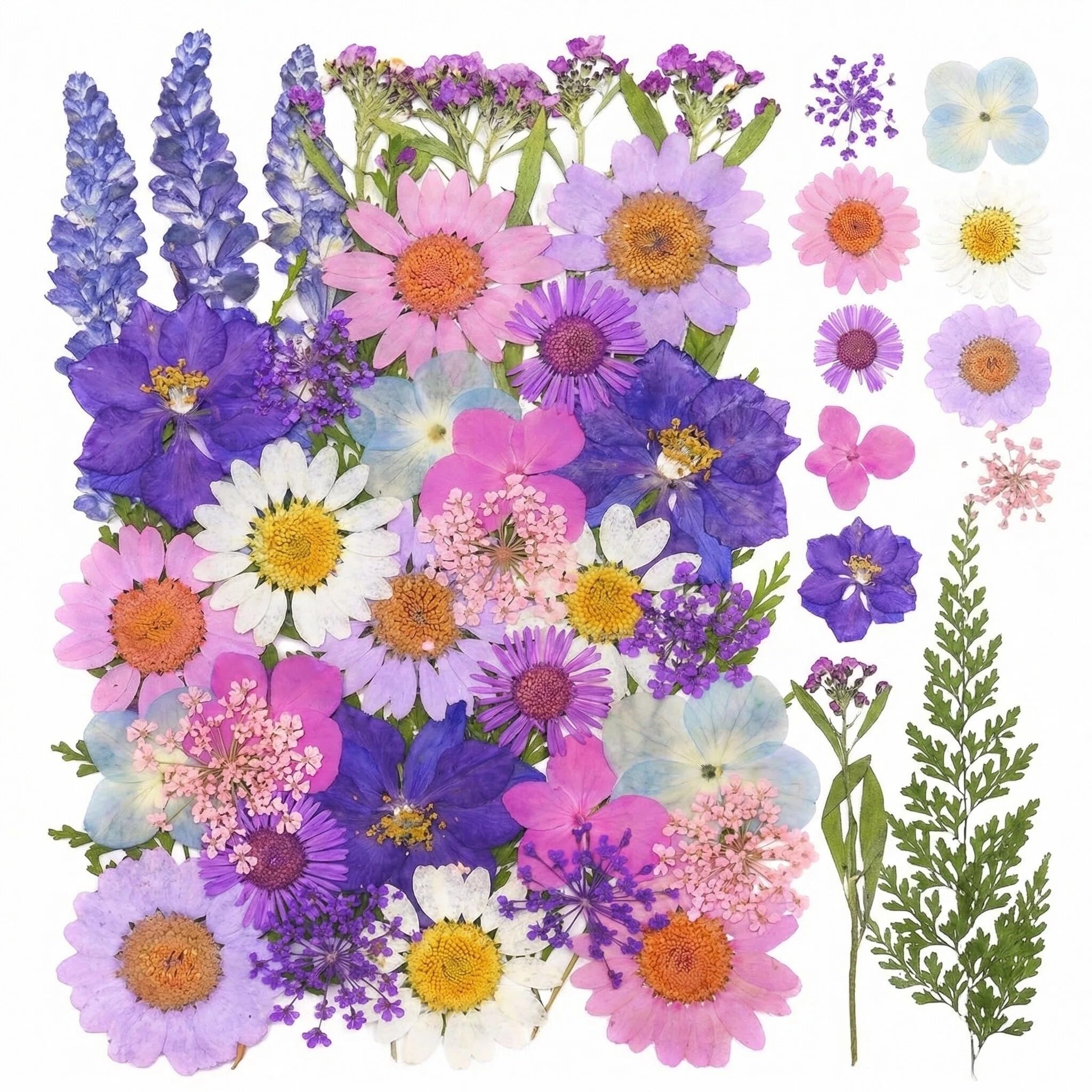 40PCS Purple Dried Pressed Flowers for Resin Molds Natural Dried Flowers for Crafts Stickers DIY Art Floral Decorations Nail Art Scrapbooking Candle Making Home Décor Soap Making Phone Case