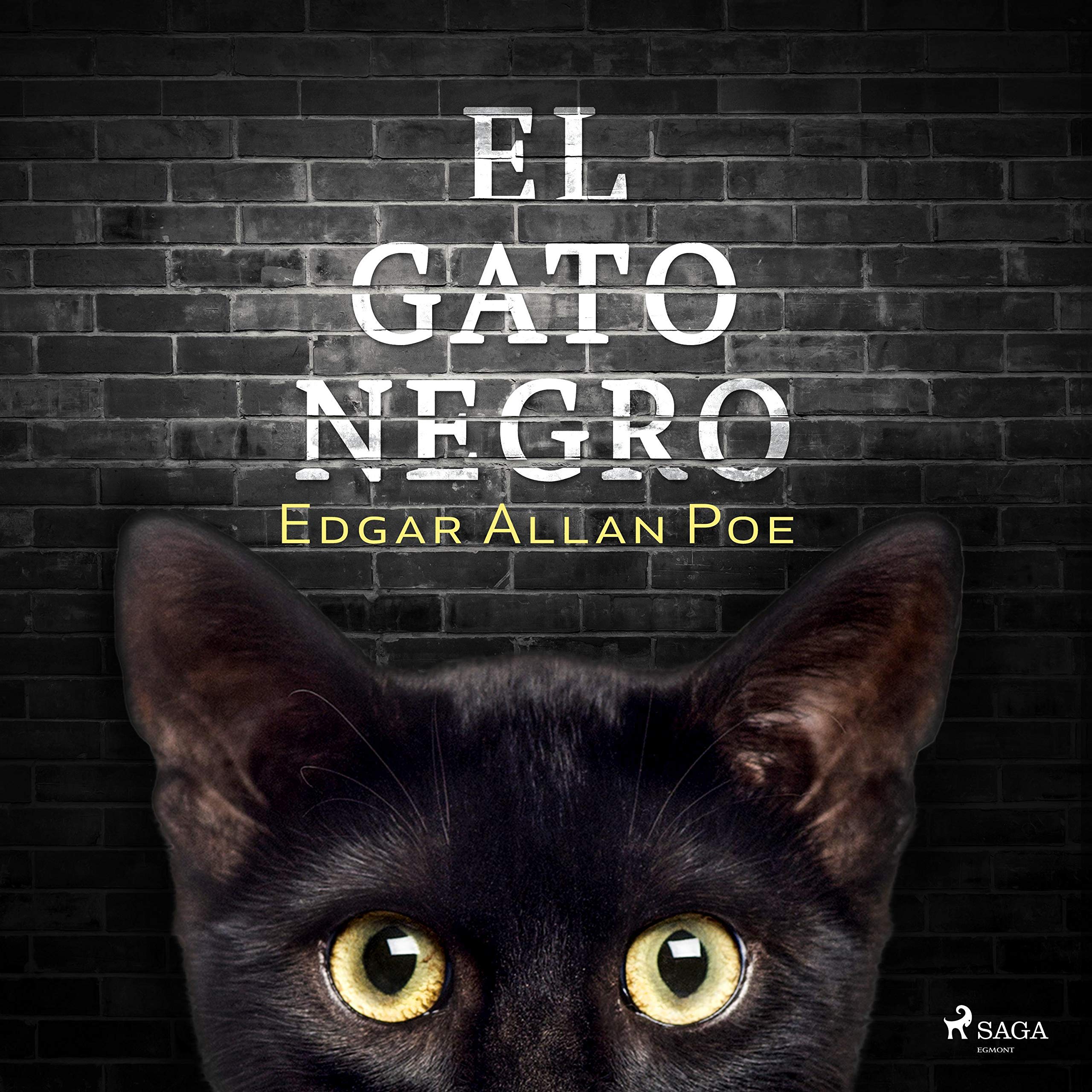 Cover art for El gato negro