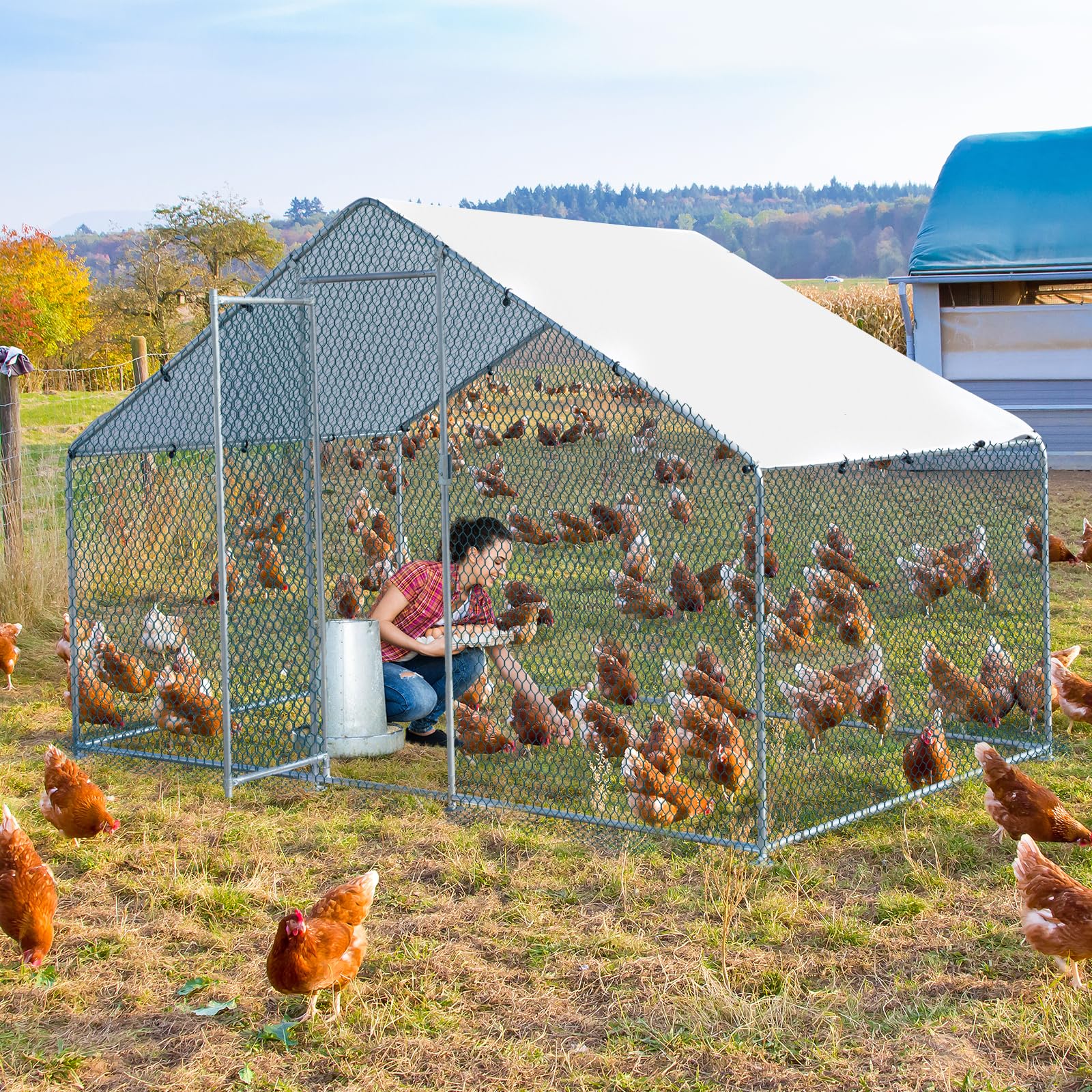 Enclos poulailler 2x2x2 m, 4 m²-Parc grillagé, Acier galvanisé, Argent, pinacle