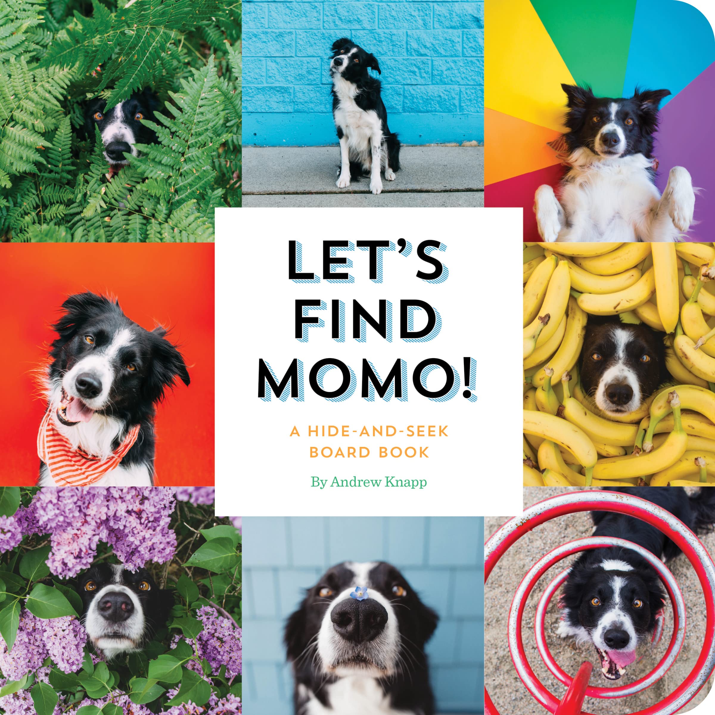 Let's Find Momo!: A Hide-and-Seek Board Book Kindle Edition