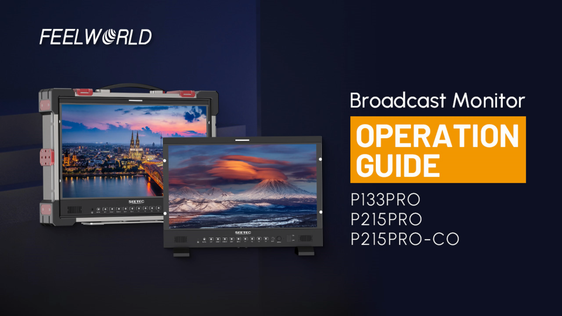 Amazon.com: SEETEC P215 PRO 21.5