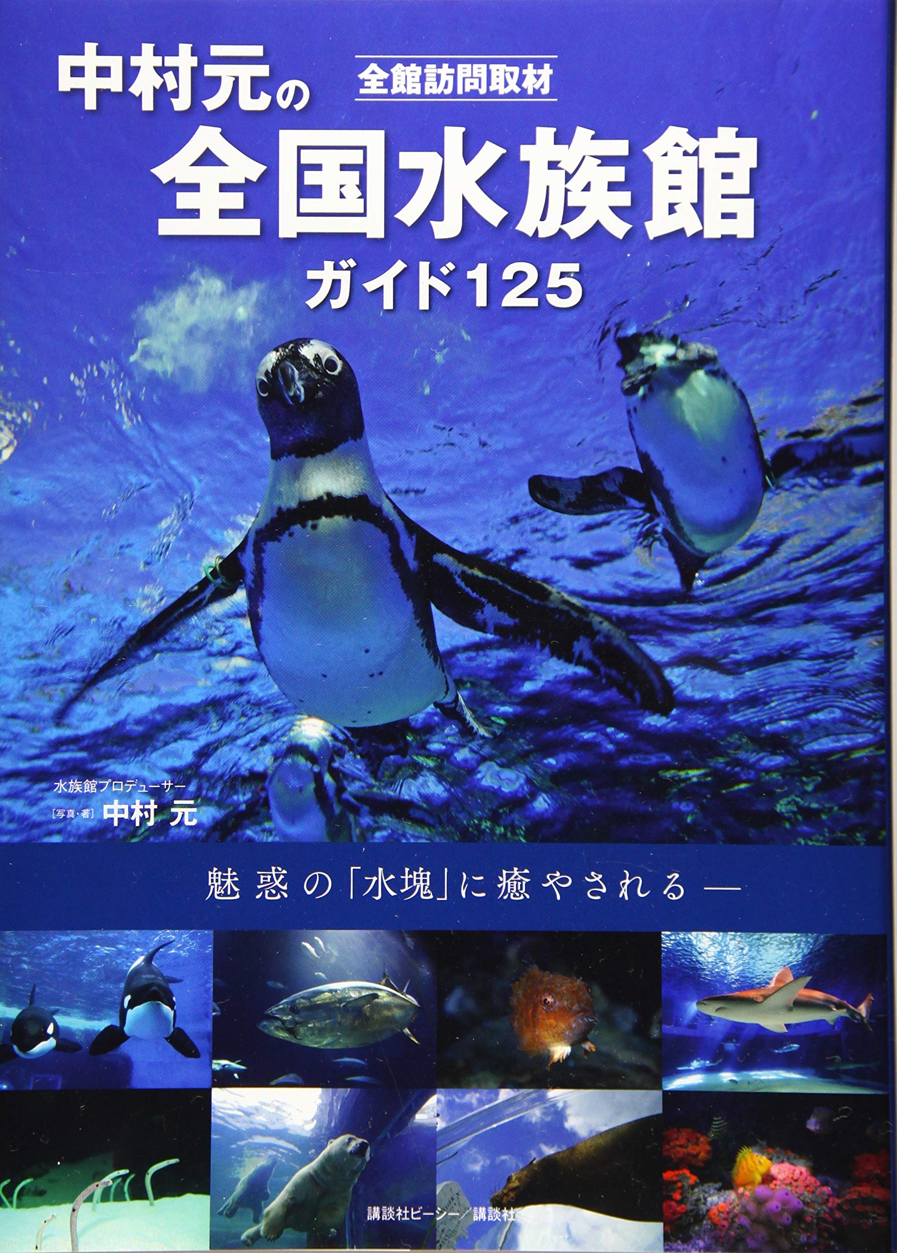 全館訪問取材 中村元の全国水族館ガイド 125 中村 元 中村 元 本 通販 Amazon
