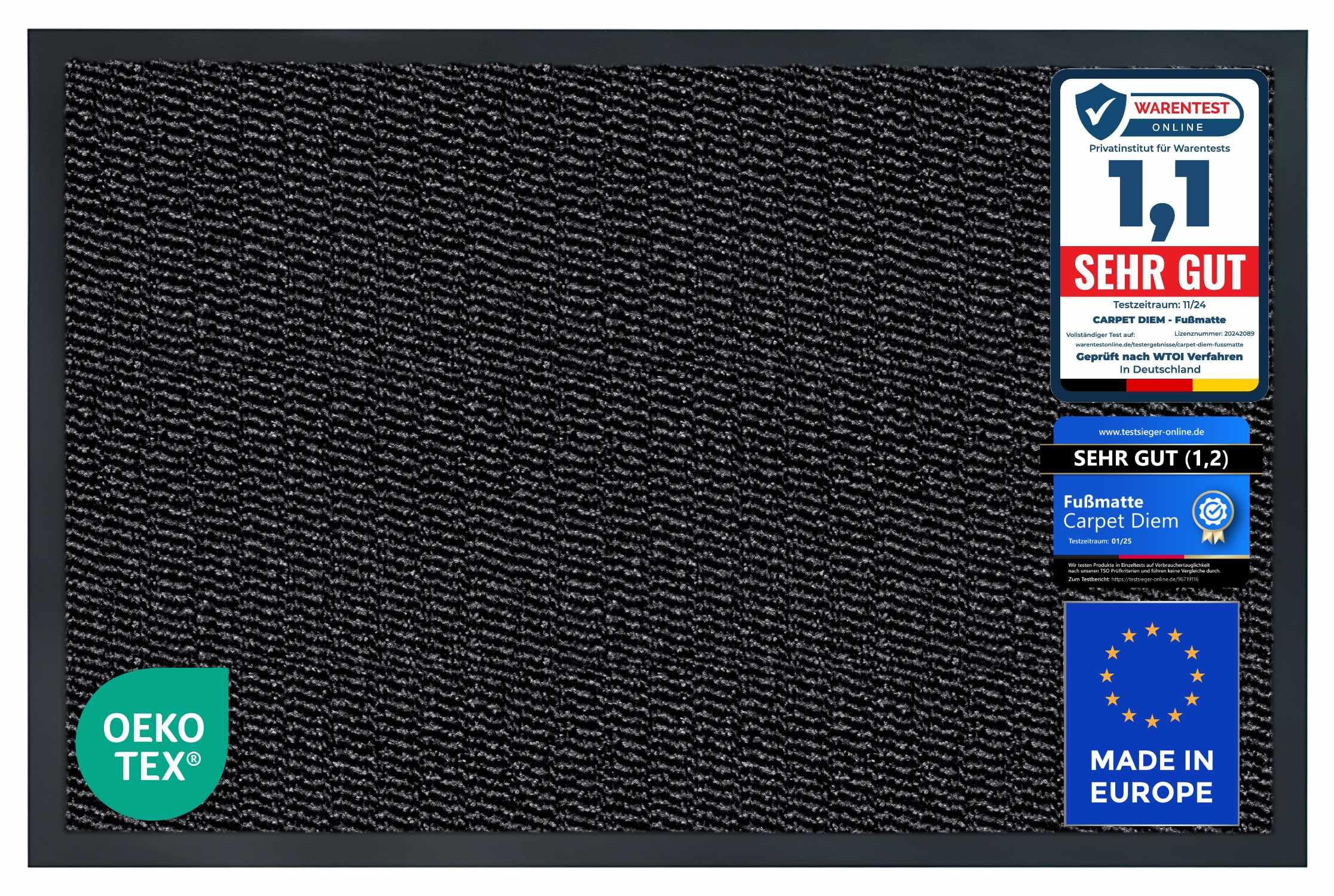Carpet Diem Fußmatte, einfach sauber I Schmutzfangmatte Eingangsbereich - Fussmatte Innen & Außen, rutschfeste Türmatte, Schmutzfang Teppich für Haustür I Fußabtreter in Anthrazit-Schwarz 40x60 cm