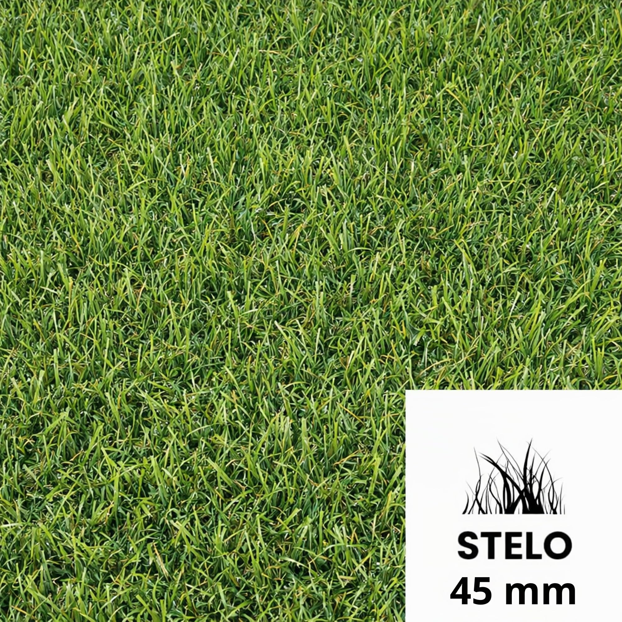 Erba Sintetica da Esterno - GALEONE | Filamenti 45 mm | Dimensioni Personalizzabili | Prato Finto Realistico, Drenante e Resistente UV | Morbido al Tatto - Effetto Naturale - Uniforme Professionale