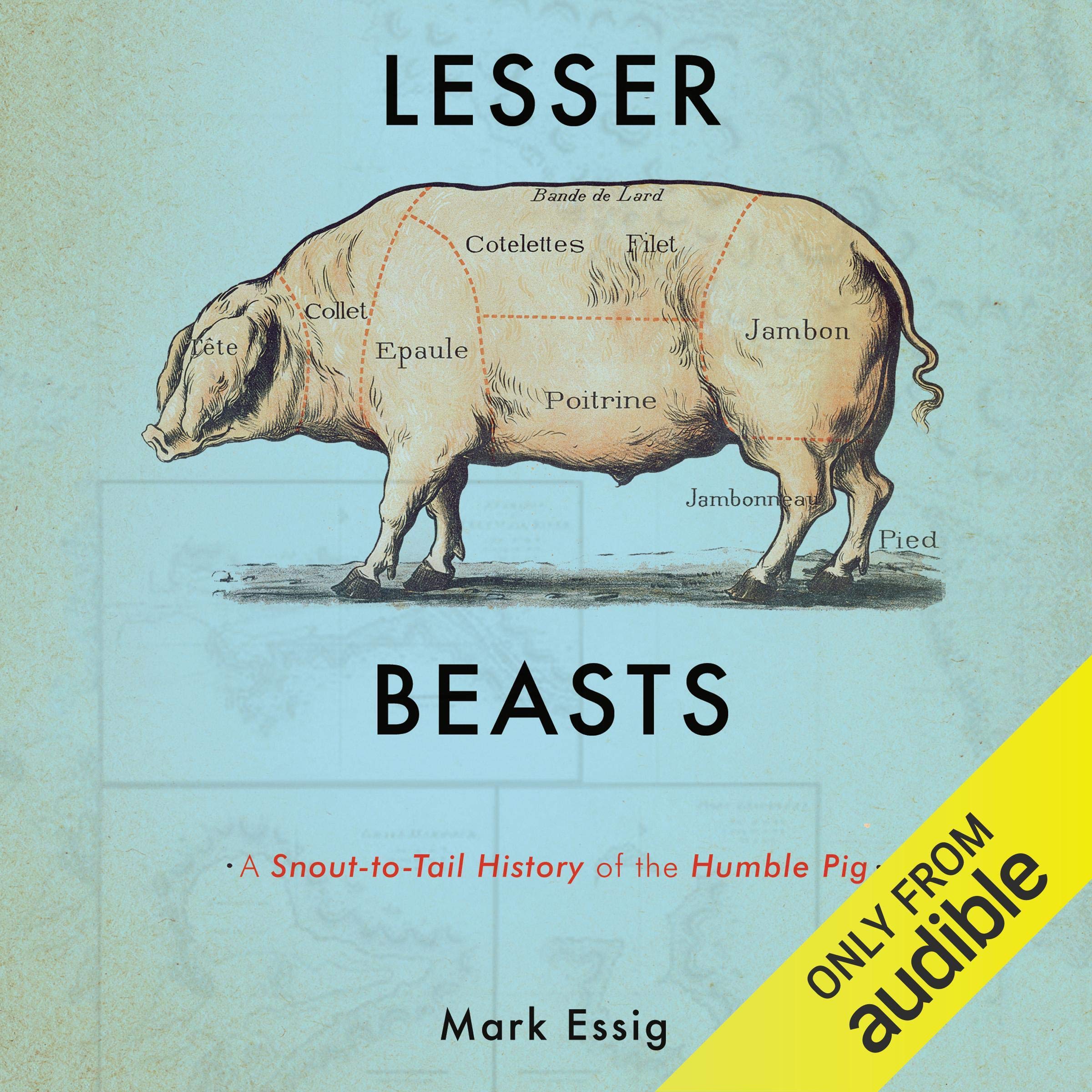 Cover art for Lesser Beasts