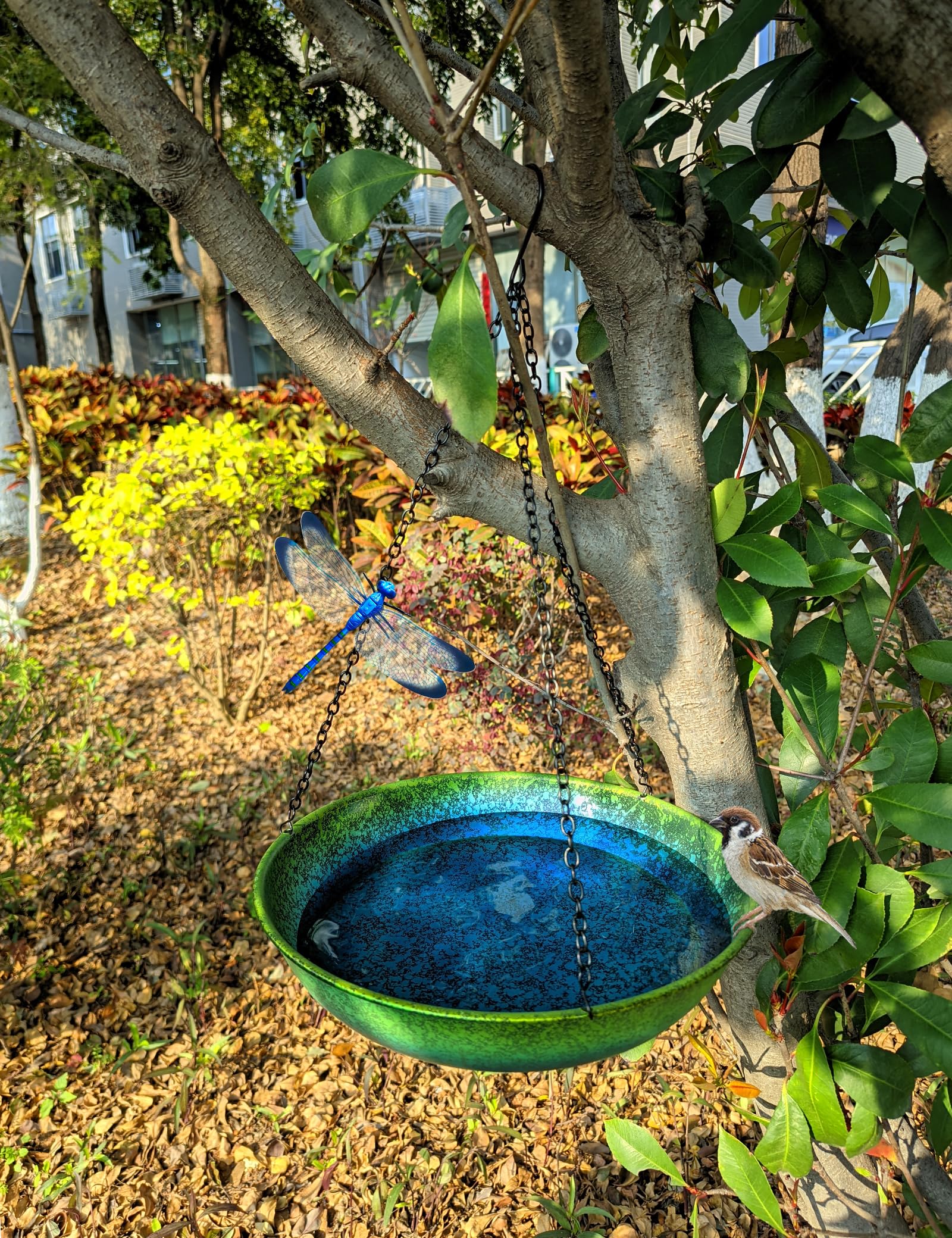 Baño colgante para pájaros para exteriores, comedero colgante de metal, comedero para pájaros, pintado a mano, degradado azul y verde, 11 pulgadas, para que los pájaros se bañen y beban para patio