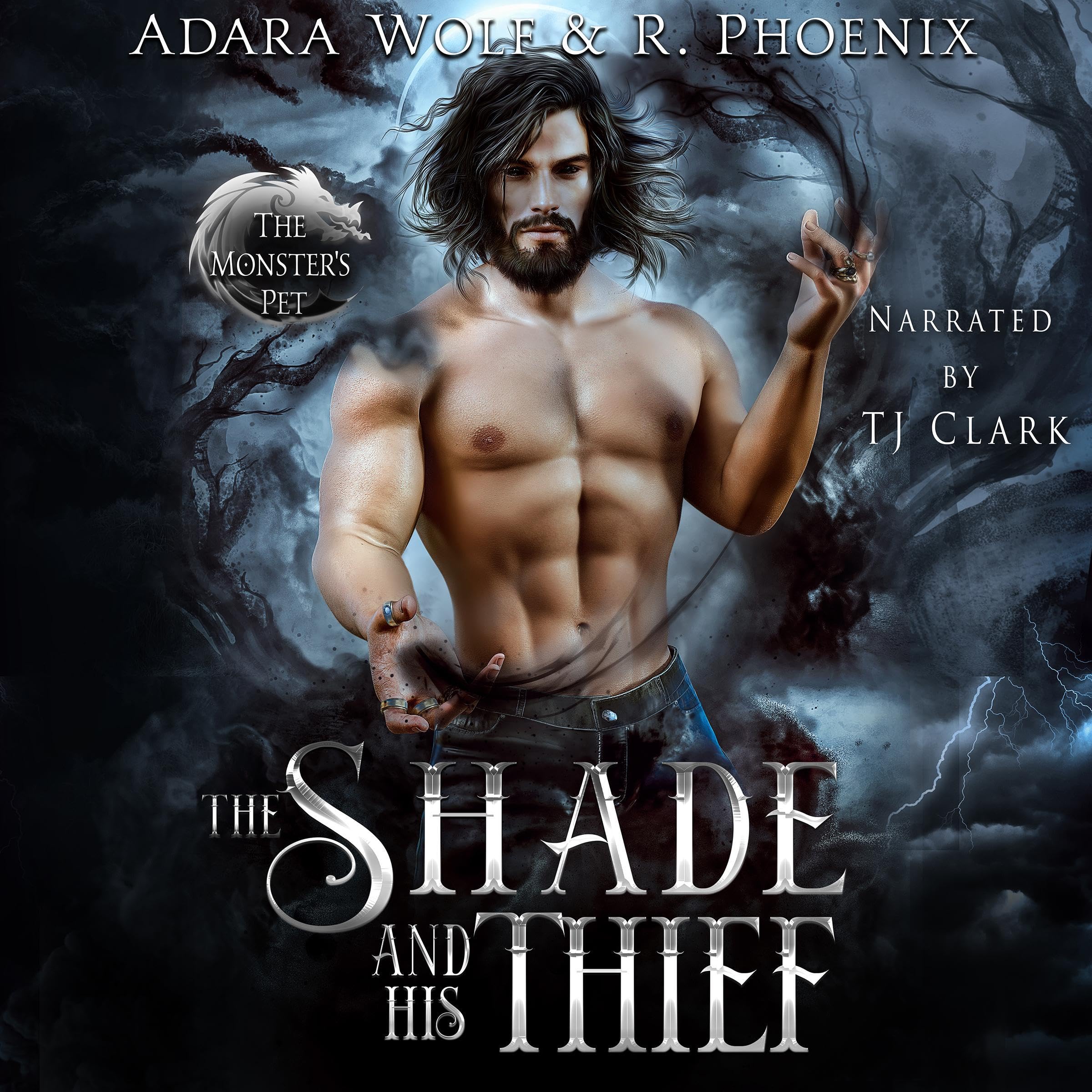 Cover art for The Shade and His Thief