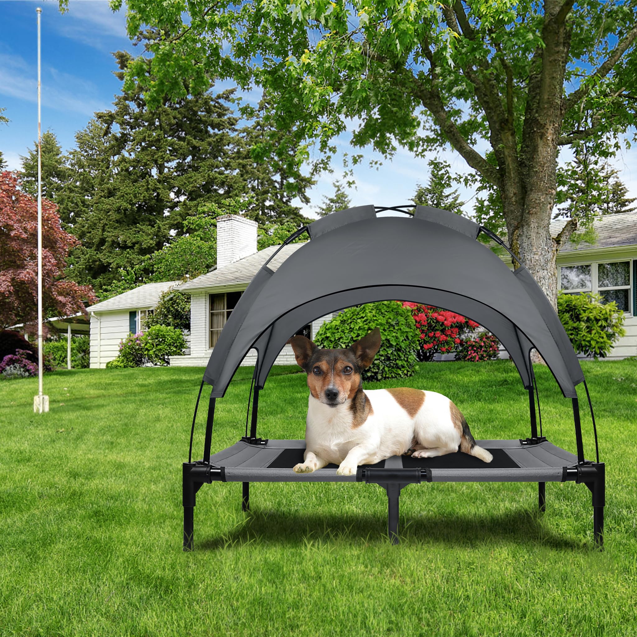 ACXIN Cuccia per cani con baldacchino, lettino per cani e gatti, per esterni, con tessuto rialzato, traspirante e taffetà fino a 50 kg (L, 92 x 76 x 92 cm)