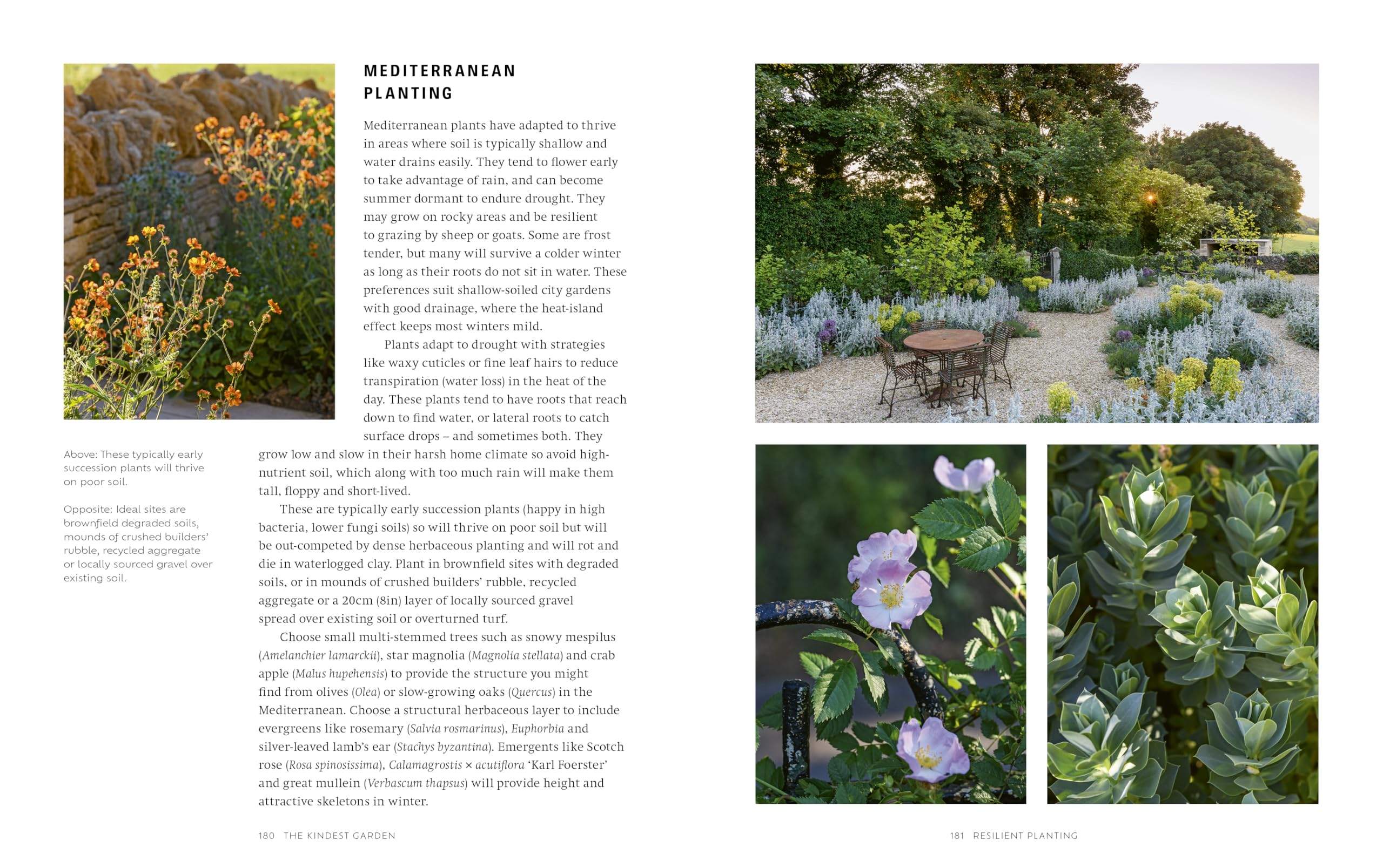 The Kindest Garden: A Practical Guide to Regenerative Gardening