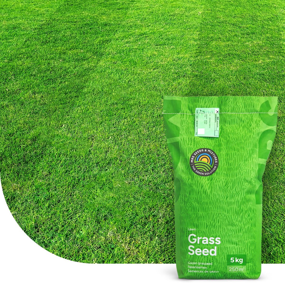 MRS Easy Mow : Semences de gazon - 2 kg pour 100 m² - Peu d’entretien - Tolérant à la sécheresse - Forme un gazon dense et durable