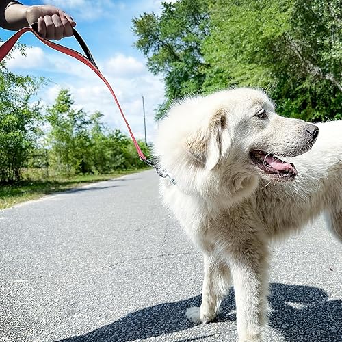 Miniatura 4 de Joytale Correa resistente para perros grandes que tiran, correa de perro de doble asa para control de tráfico, correa reflectante de doble cara para