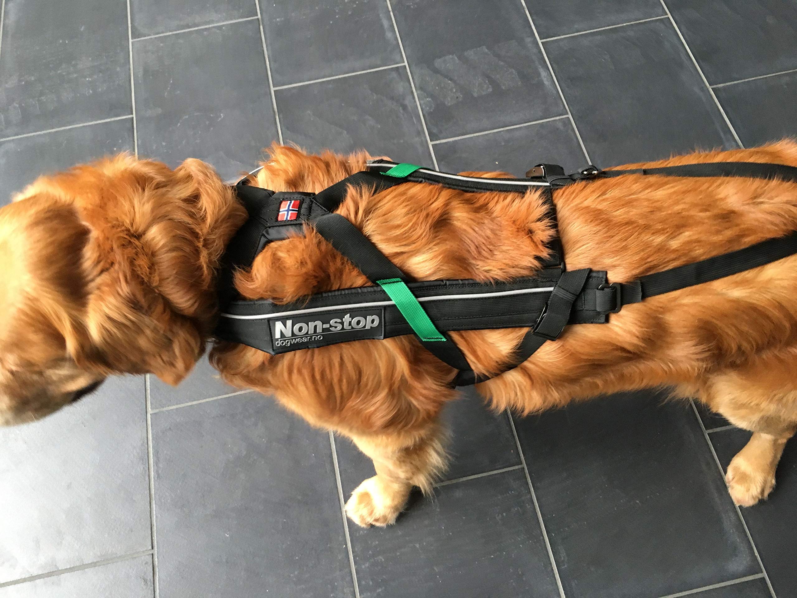Non Stop dogwear, pettorina per cani, nero, 6