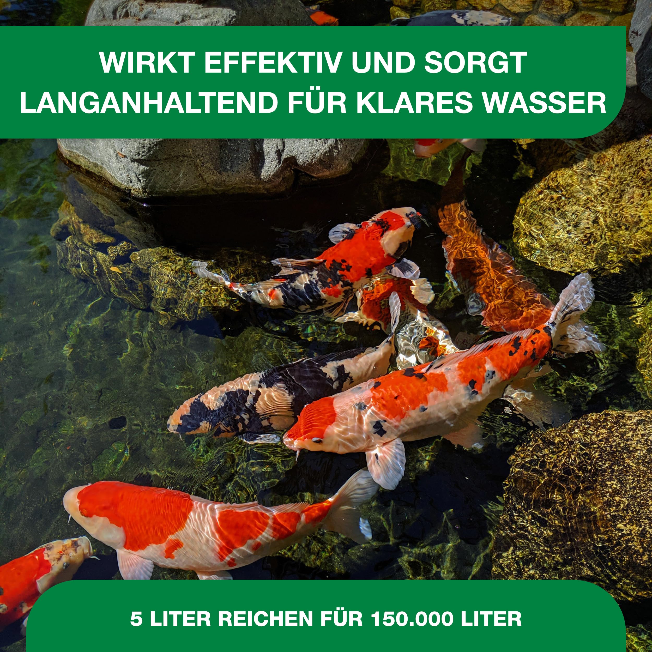 Teichpoint Pond Repair Liquid (5 Liter) | Entfernt Fadenalgen auf biologische Weise im Garten- und Koiteich | Algenfreies Teichwasser | Reichweite 150.000 Liter