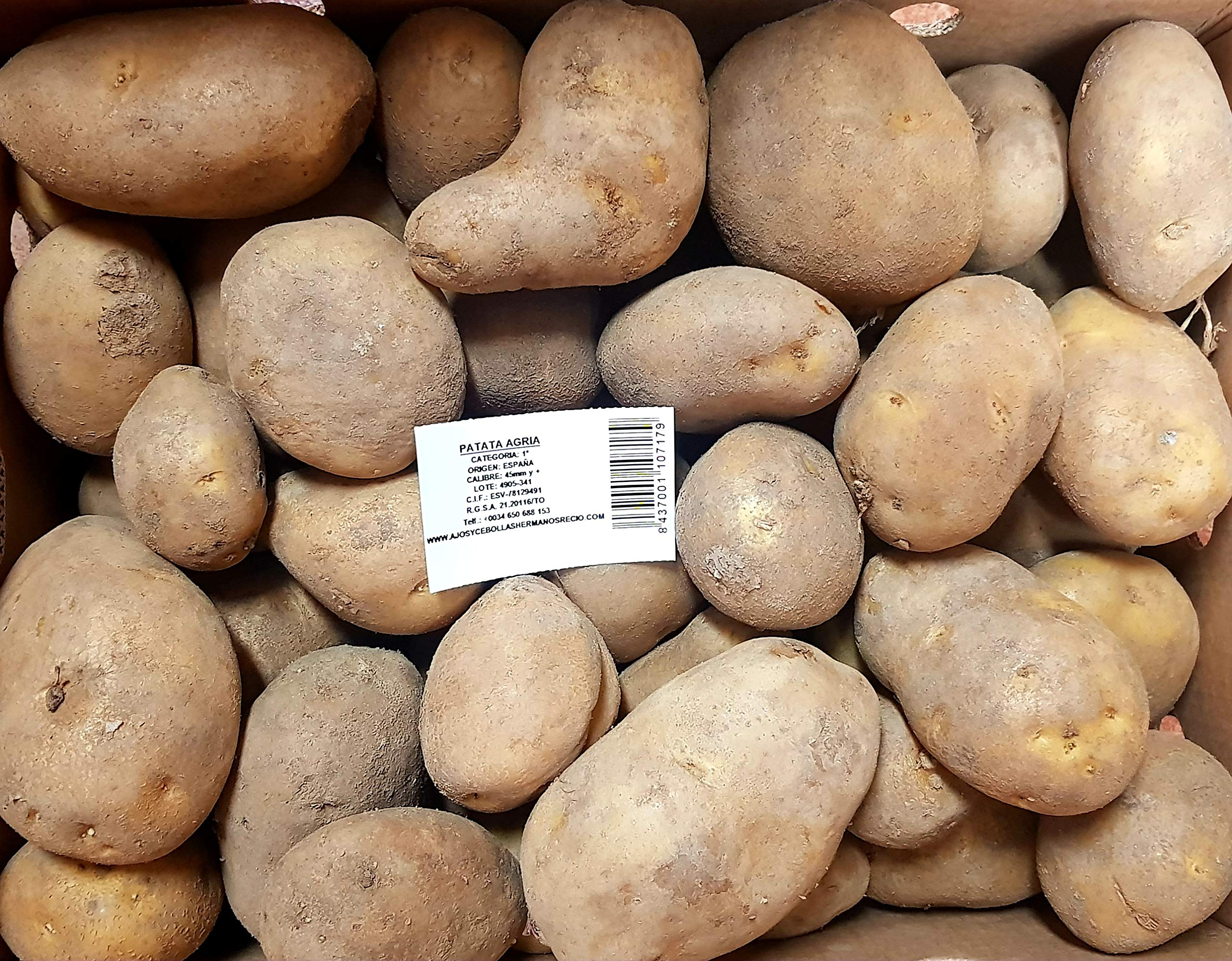 Ajos y Cebollas Hnos. Recio SAT 6300 40 kg. Patata Agria / Especial para Freir - Selección Gourmet