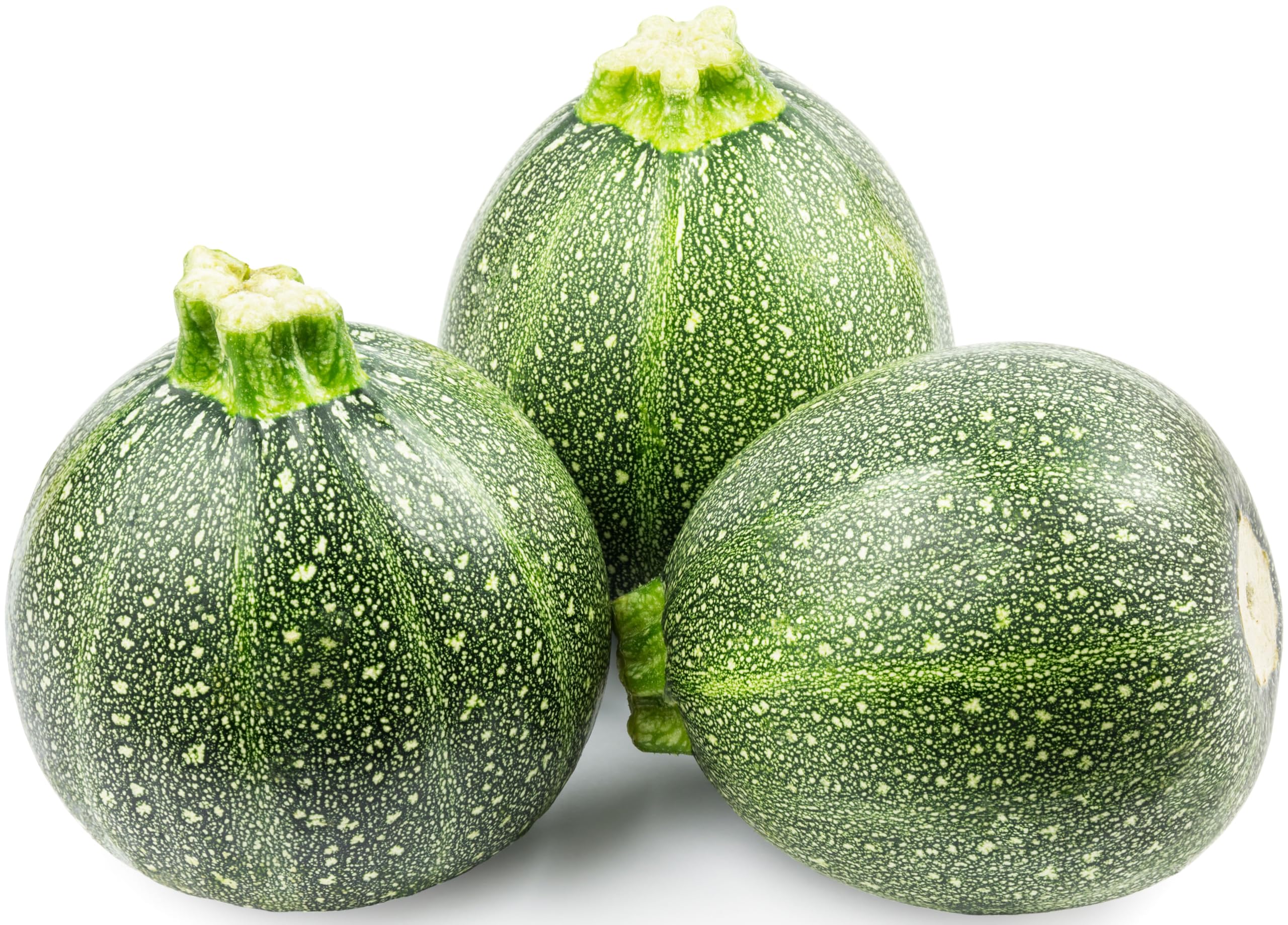 Round Zucchini Seeds for Planting - Heirloom, Non-GMO, USA Grown Seeds in Premium Waterproof Packaging with Plant Information and Instructions - Cucurbita Pepo