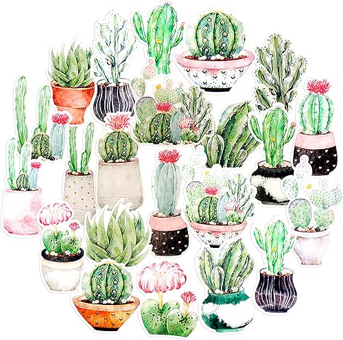 Navy Peony Faded Watercolor Moon Cactus Stickers Pack (22 Pieces)