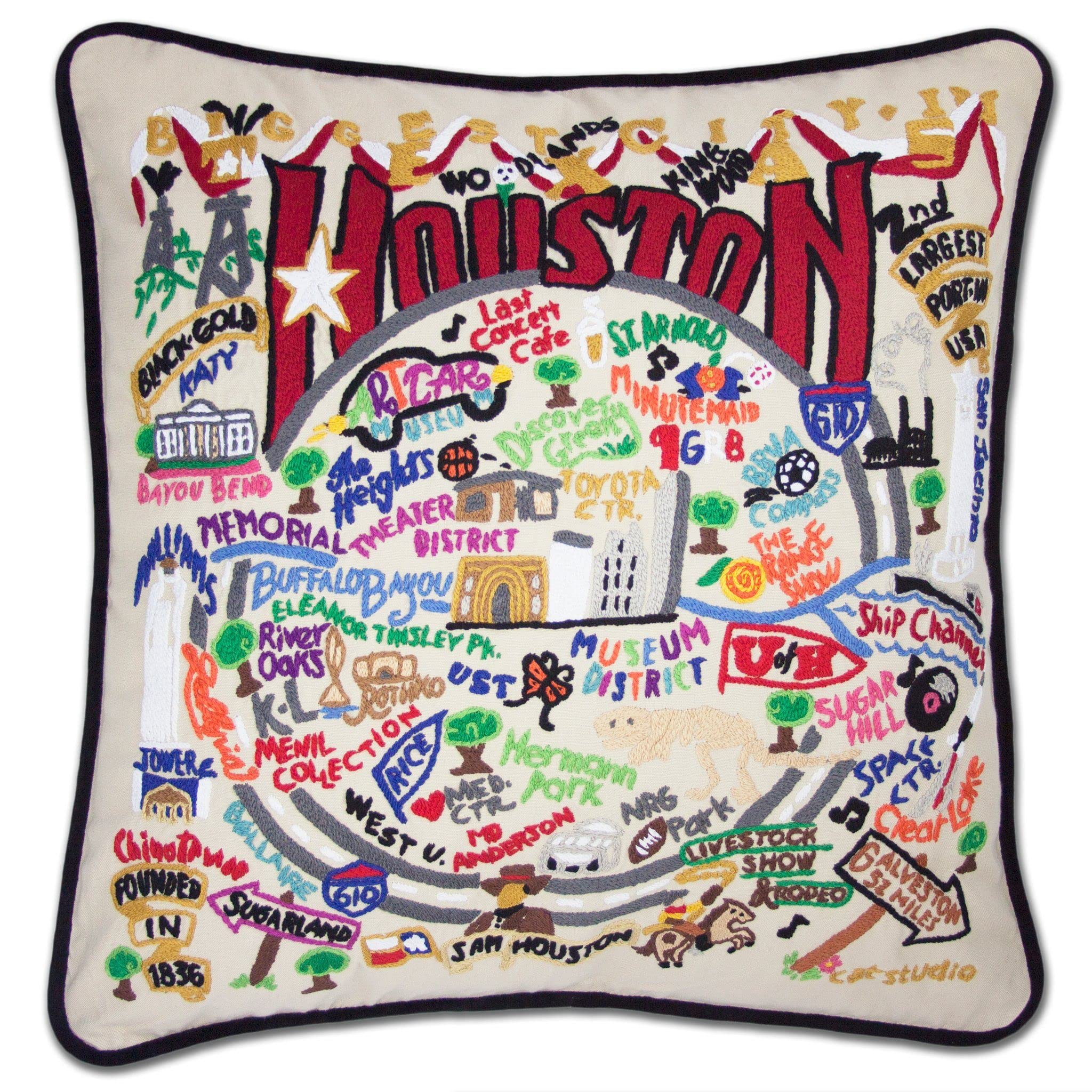 Catstudio Houston Hand Embroidered Decorative Throw Pillow