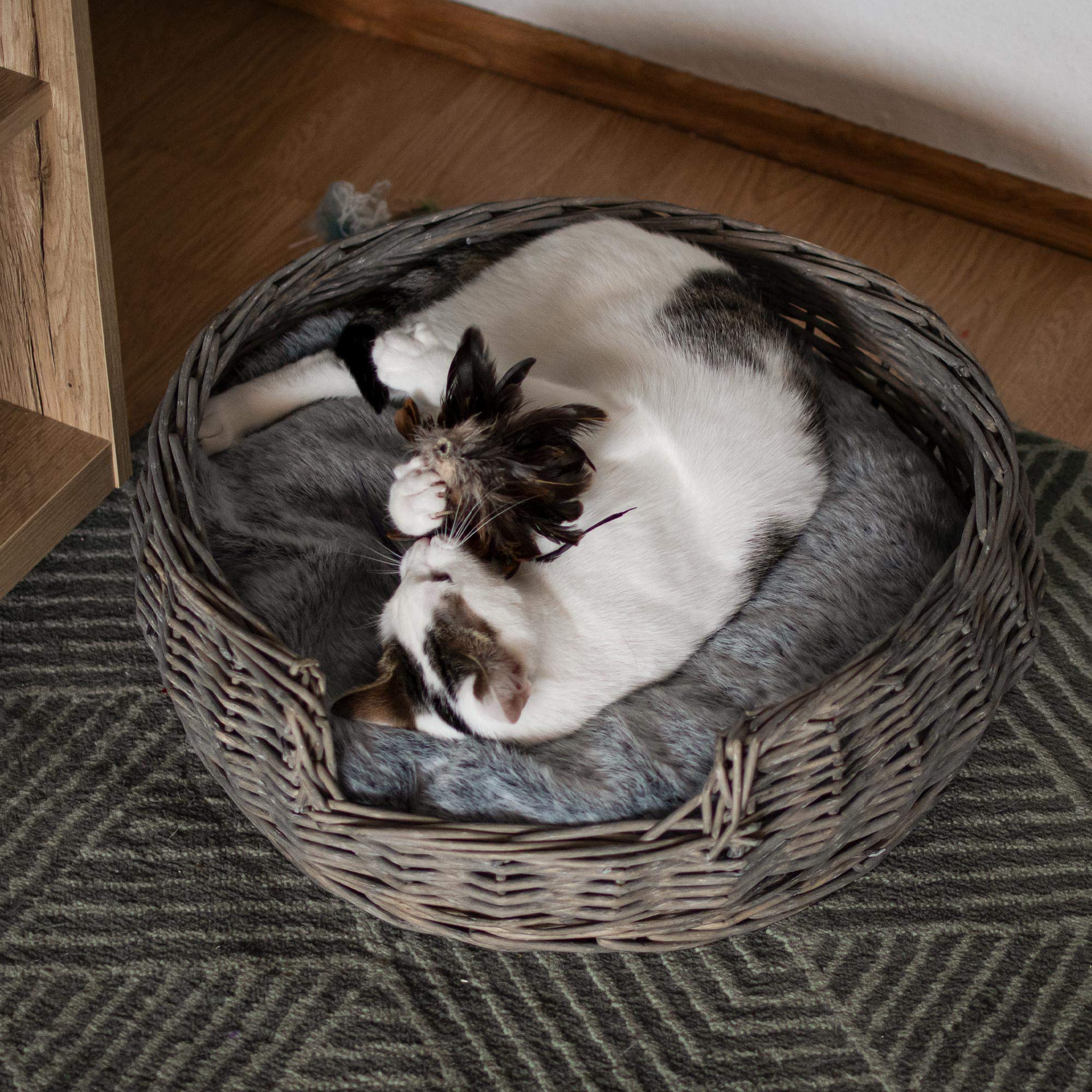 RM E-Commerce, cuccia per cani e gatti, in vimini con cuscino grigio, diametro 55 cm, per cani e gatti