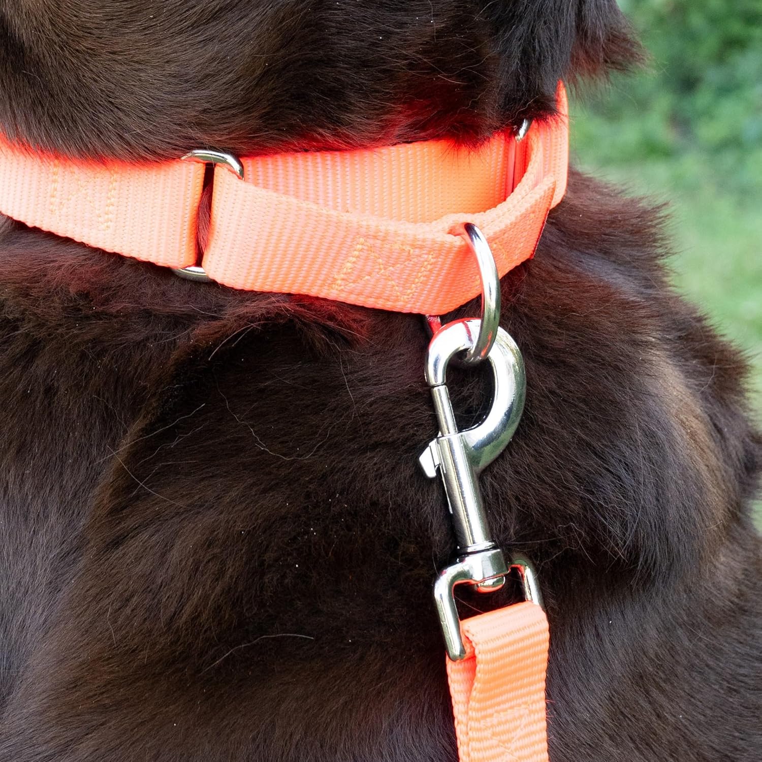 Country Brook Design - Swivel Snap Hooks (1 Inch, 25 Pack)