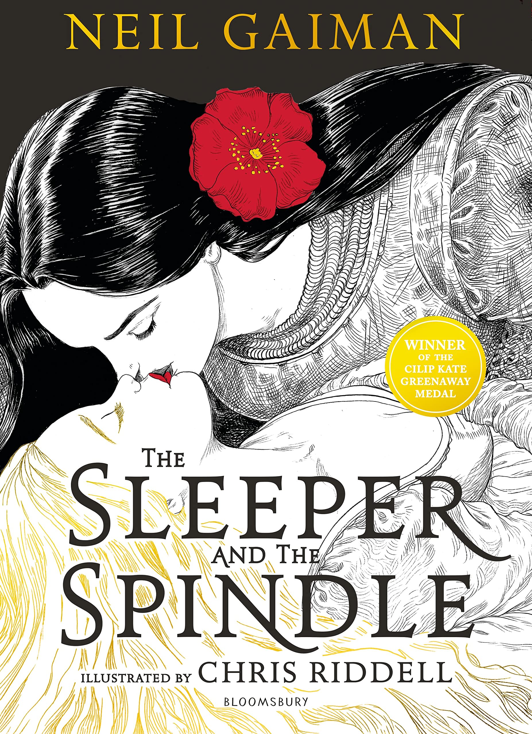 The Sleeper and the Spindle: WINNER OF THE CILIP KATE GREENAWAY MEDAL 2016