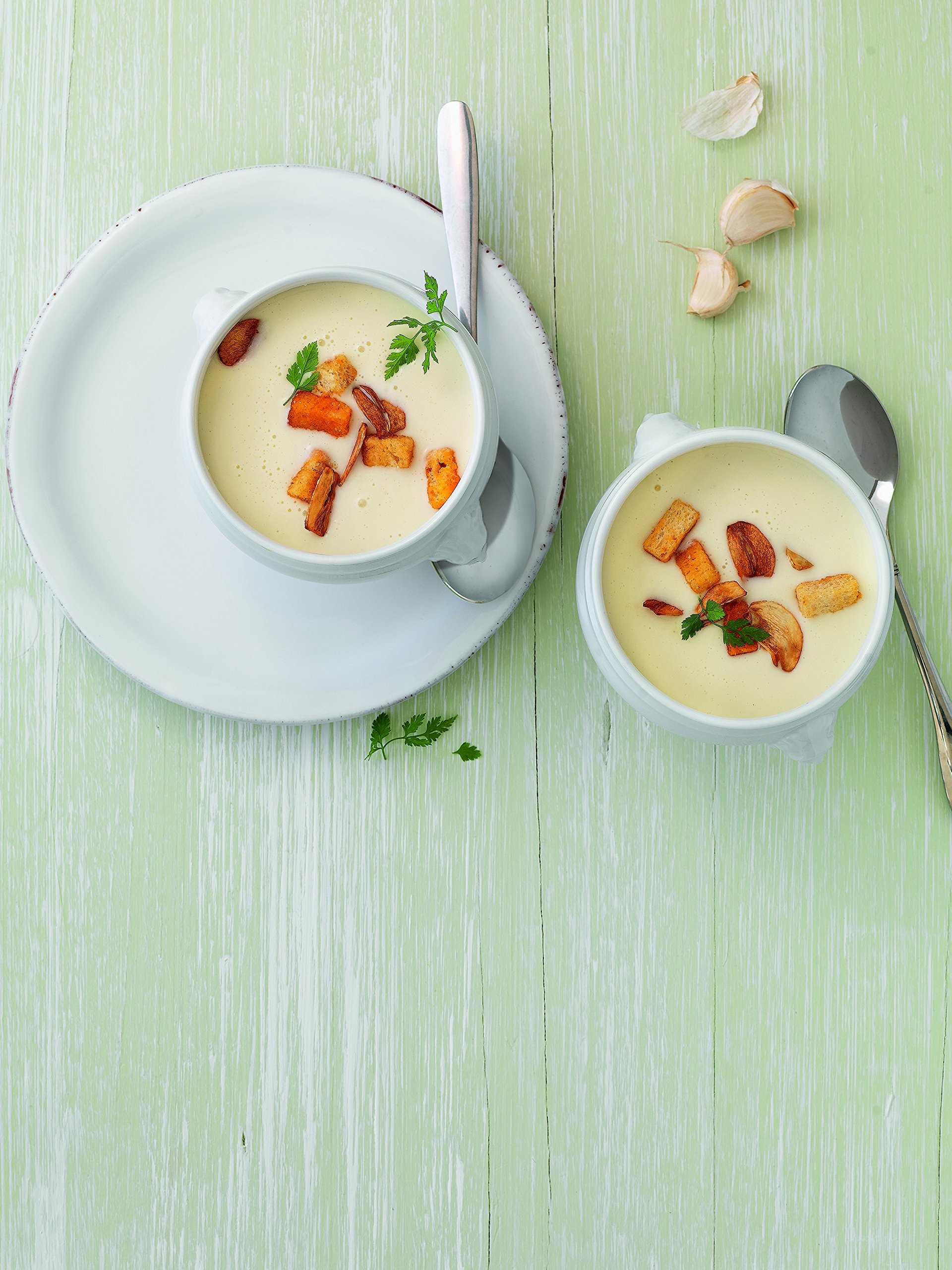 Knorr Knoblauch Cremesuppe Trockenmischung (intensiver Knoblauchgeschmack) 1er Pack (1 x 2,7kg)
