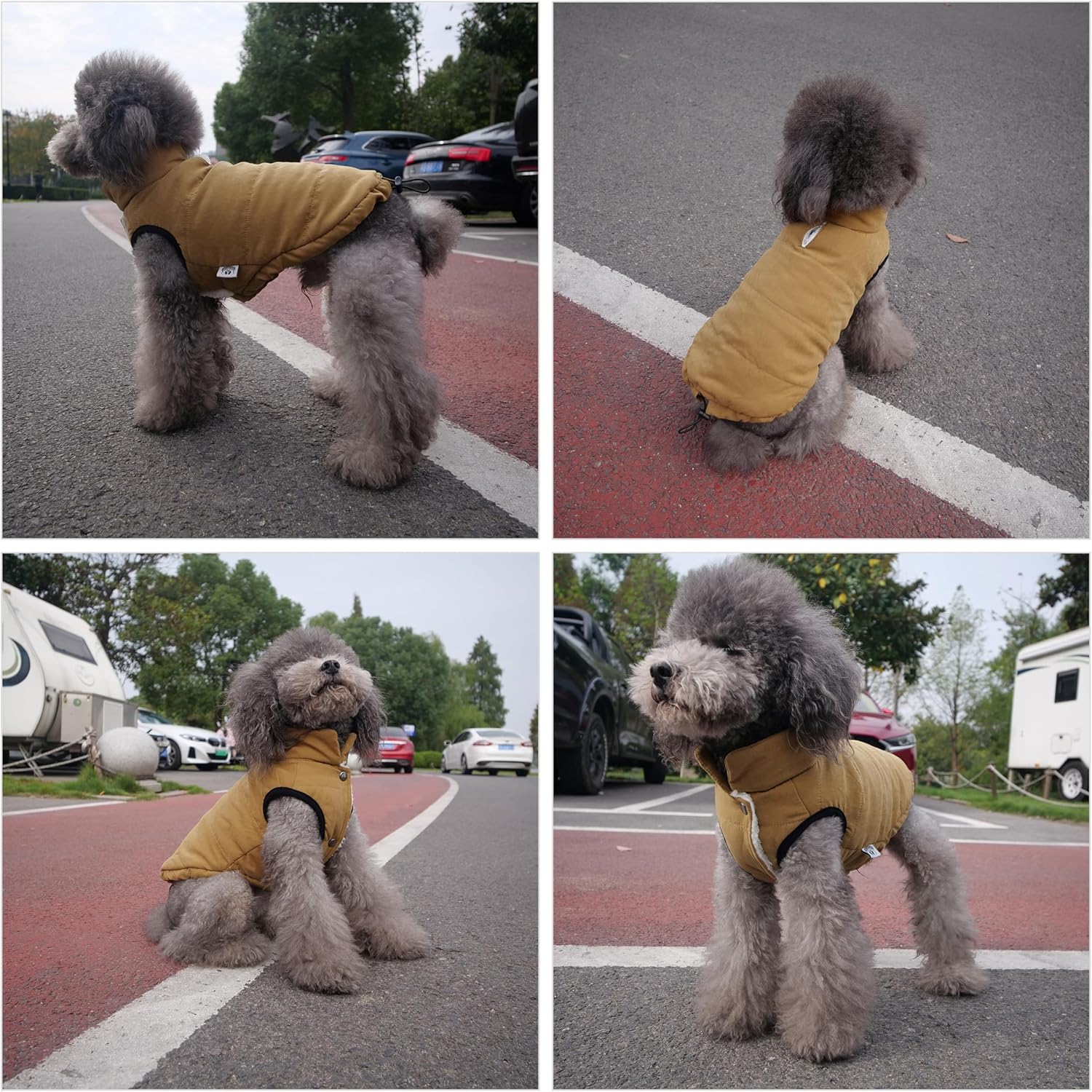 Kutyavesta szín és méret variációk