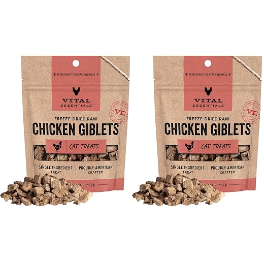 Vital Essentials Freeze Dried Raw Cat Treats | Chicken Giblets | 1 oz | Pack of 2