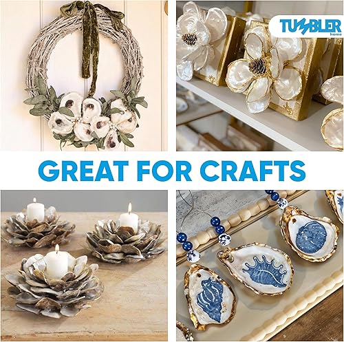 Miniatura 3 de Tumbler Home Conchas de ostras, conchas de ostras grandes de 4 a 5 pulgadas para manualidades (20 unidades), conchas de ostras a granel, relleno de