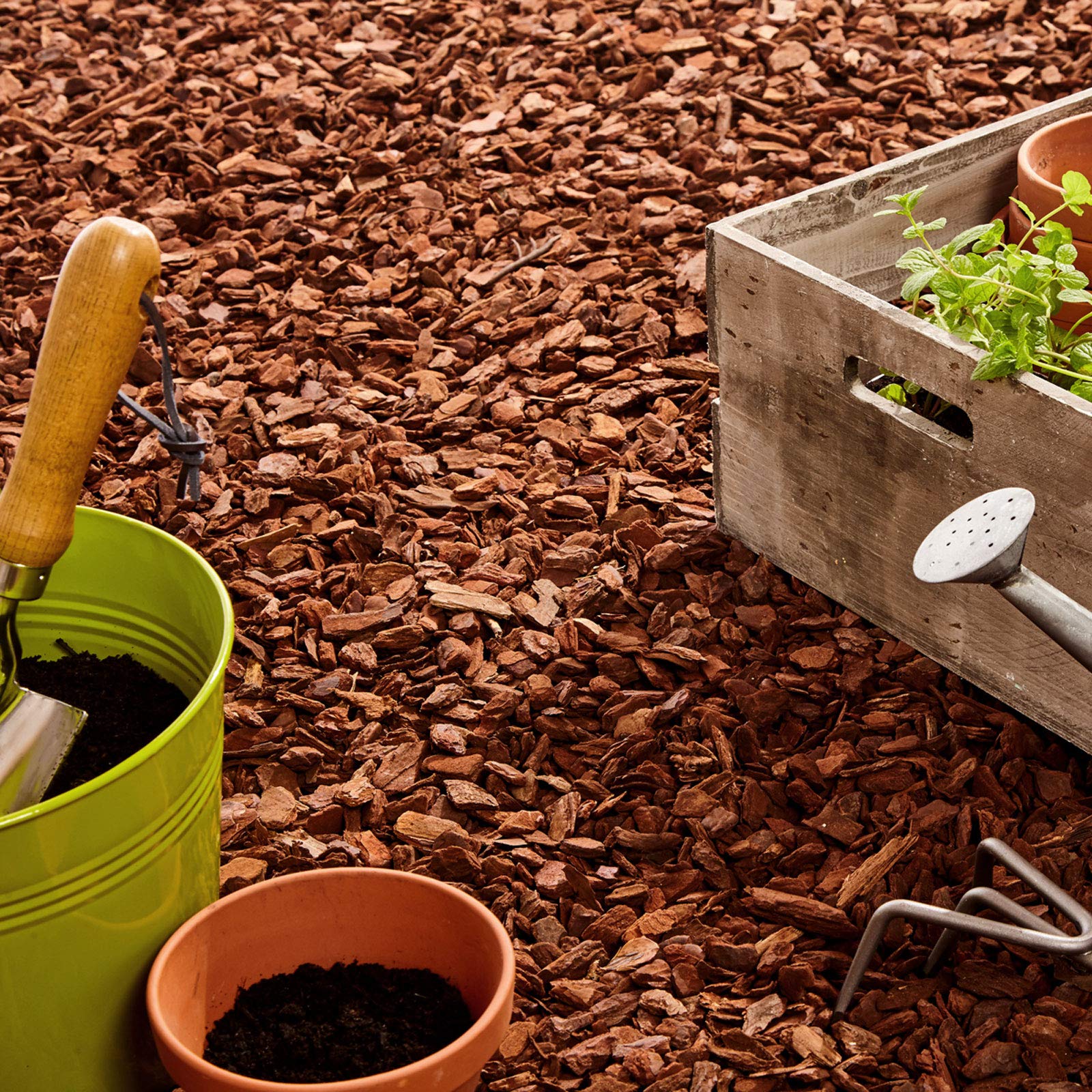 Buy Coco Fiber Chips Organic Compost Coconut Coir Alternative to